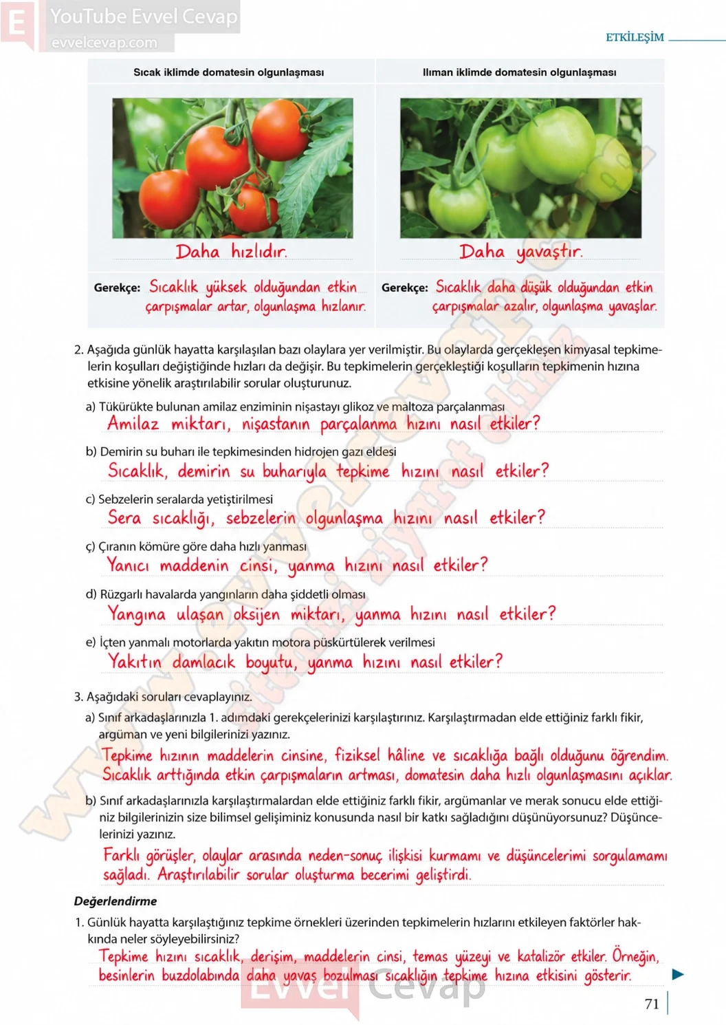 11-sinif-kimya-ders-kitabi-sayfa-71-cevaplari-meb-yayinlari-2026-2027