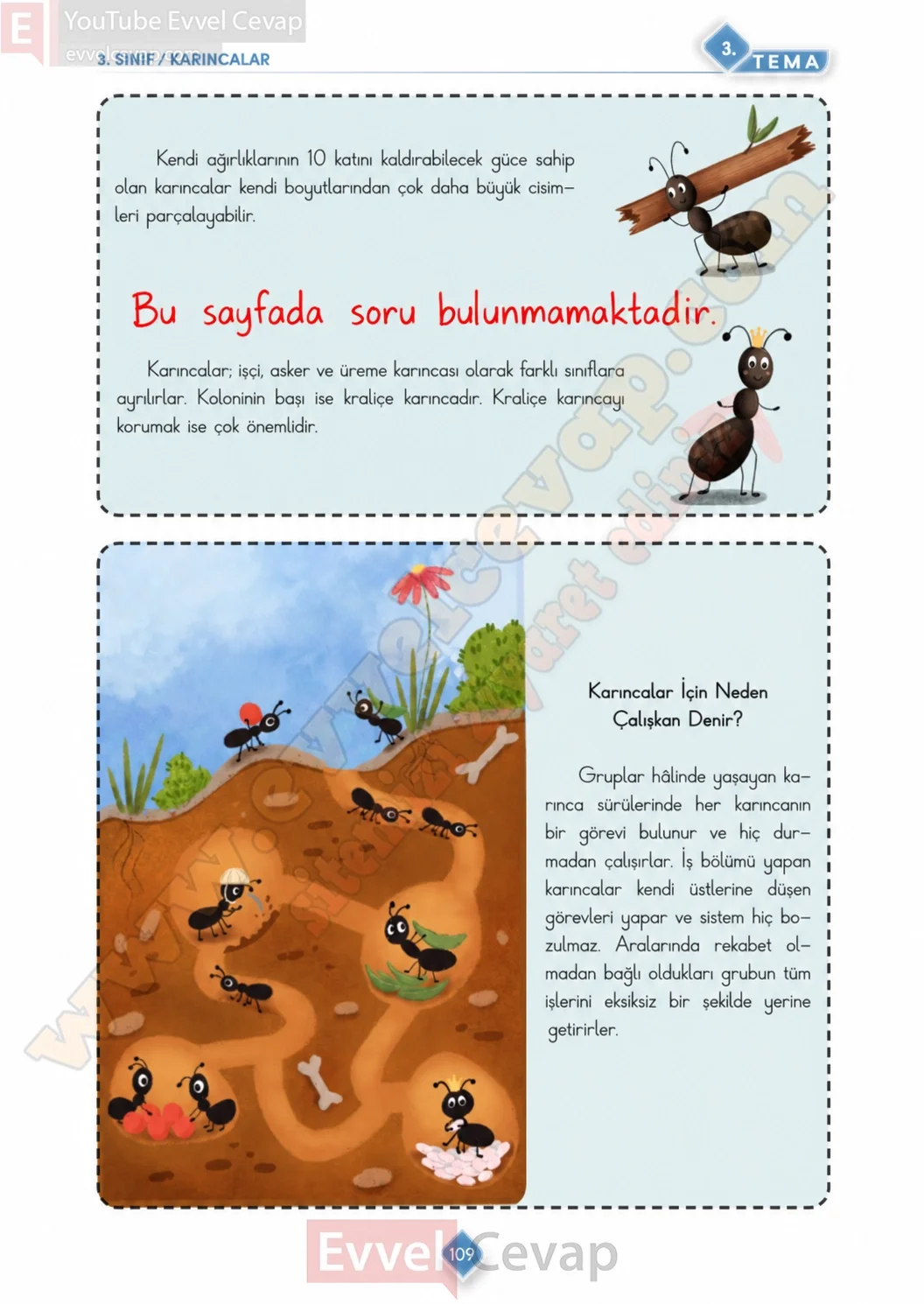 3-sinif-turkce-ders-kitabi-cevabi-meb-yayinlari-1-kitap-sayfa-109