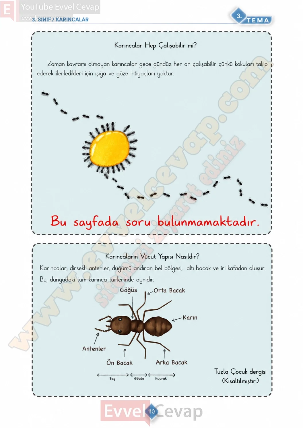 3-sinif-turkce-ders-kitabi-cevabi-meb-yayinlari-1-kitap-sayfa-110