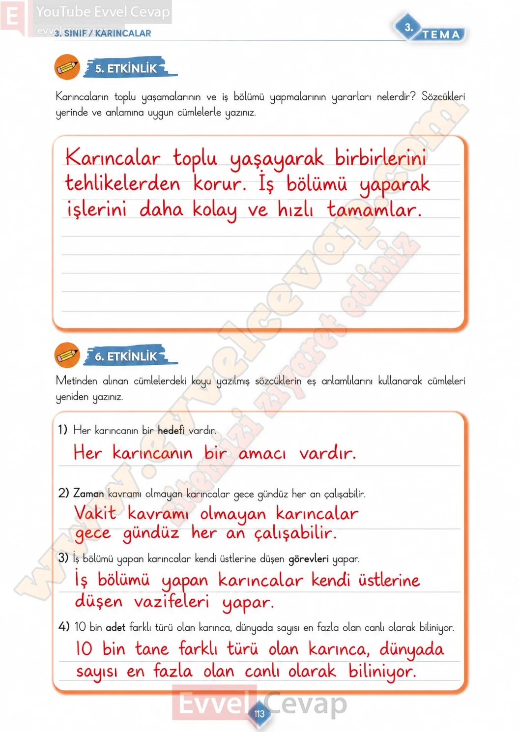 3-sinif-turkce-ders-kitabi-cevabi-meb-yayinlari-1-kitap-sayfa-113