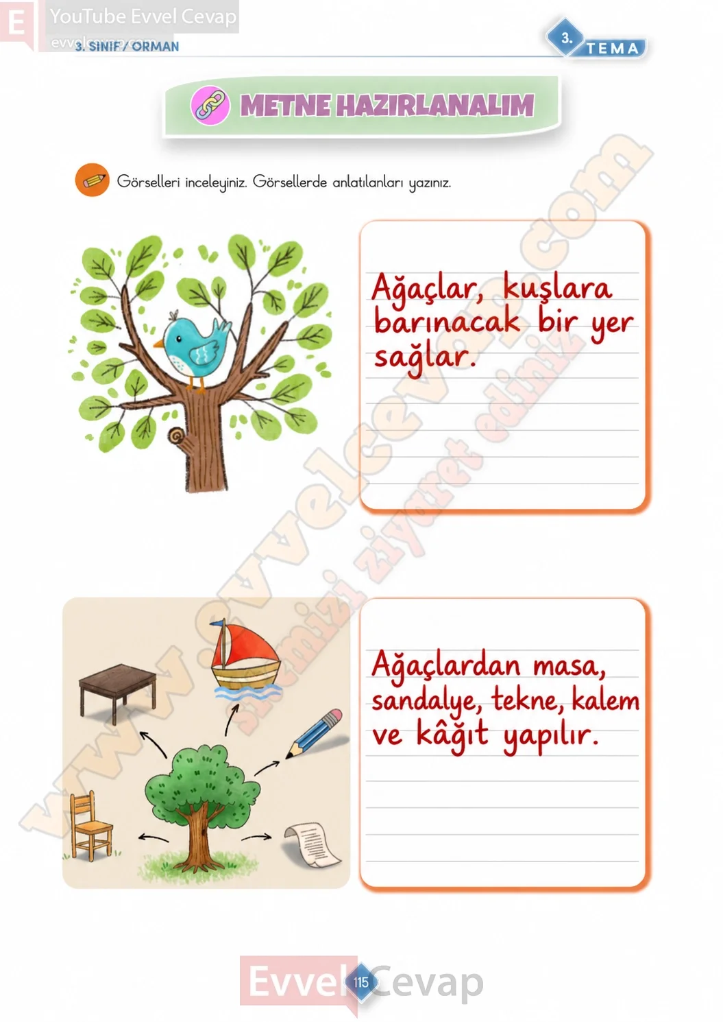 3-sinif-turkce-ders-kitabi-cevabi-meb-yayinlari-1-kitap-sayfa-115