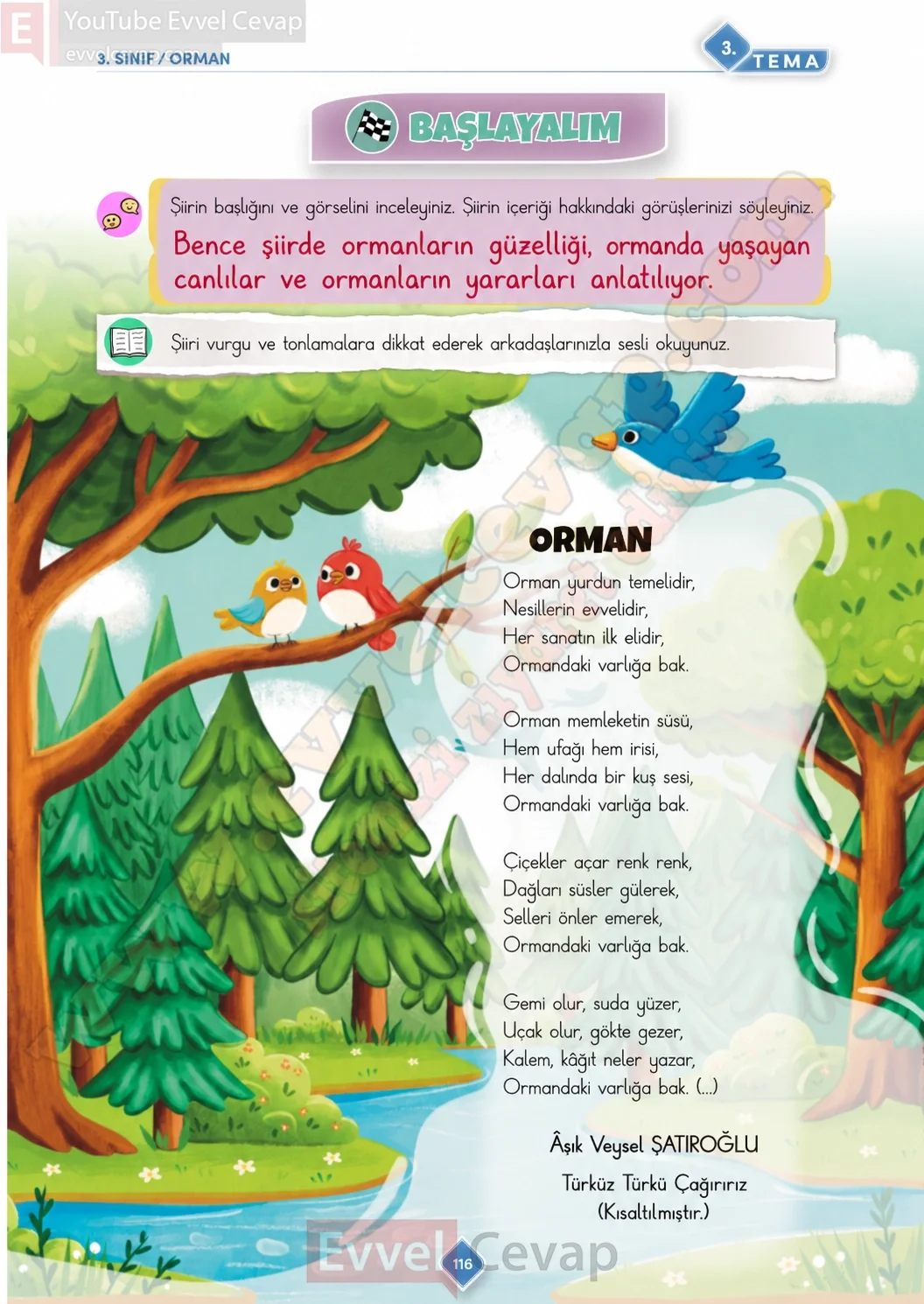 3-sinif-turkce-ders-kitabi-cevabi-meb-yayinlari-1-kitap-sayfa-116