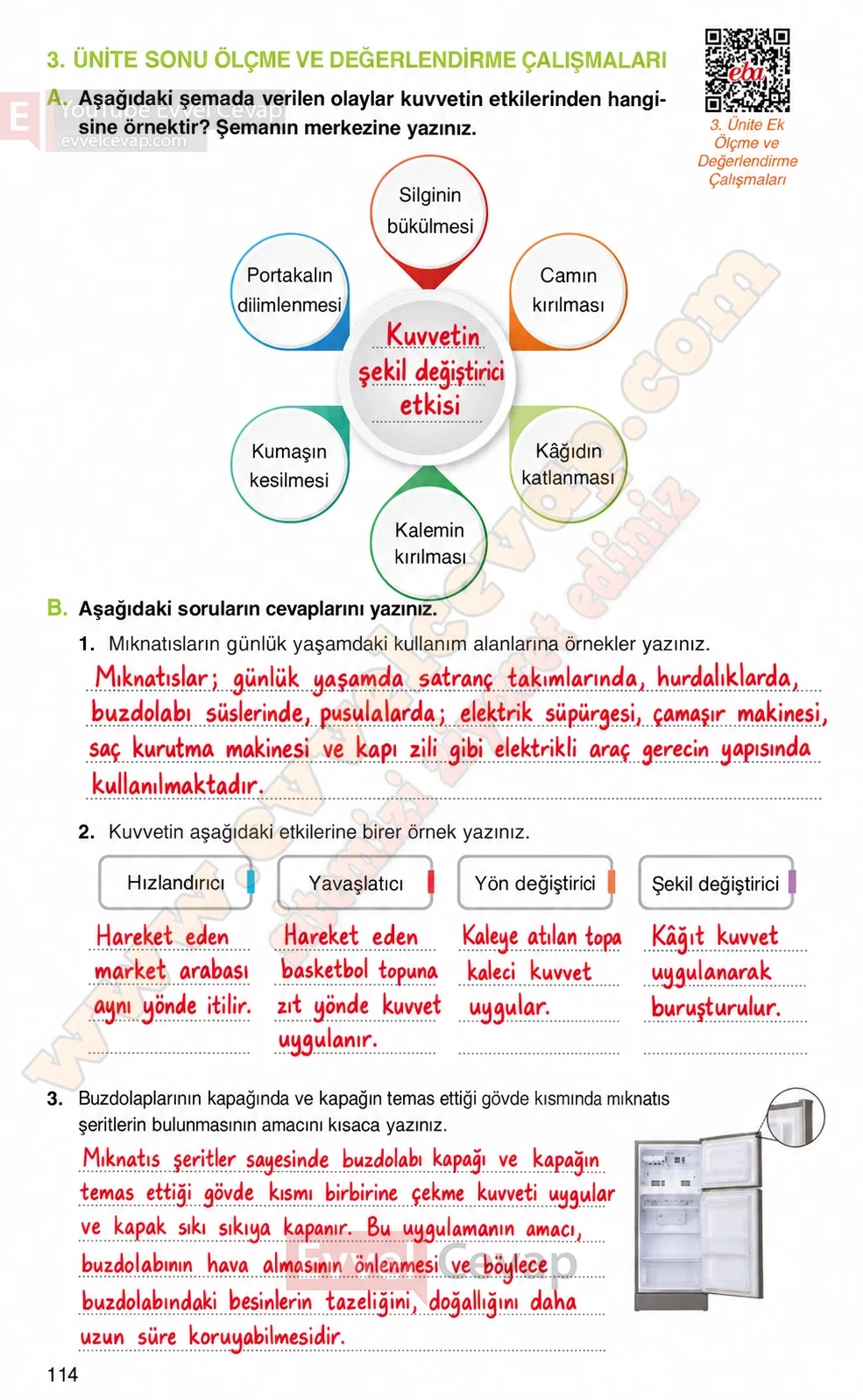 4-sinif-fen-bilimleri-ders-kitabi-cevaplari-adim-adim-yayincilik-sayfa-114-2026