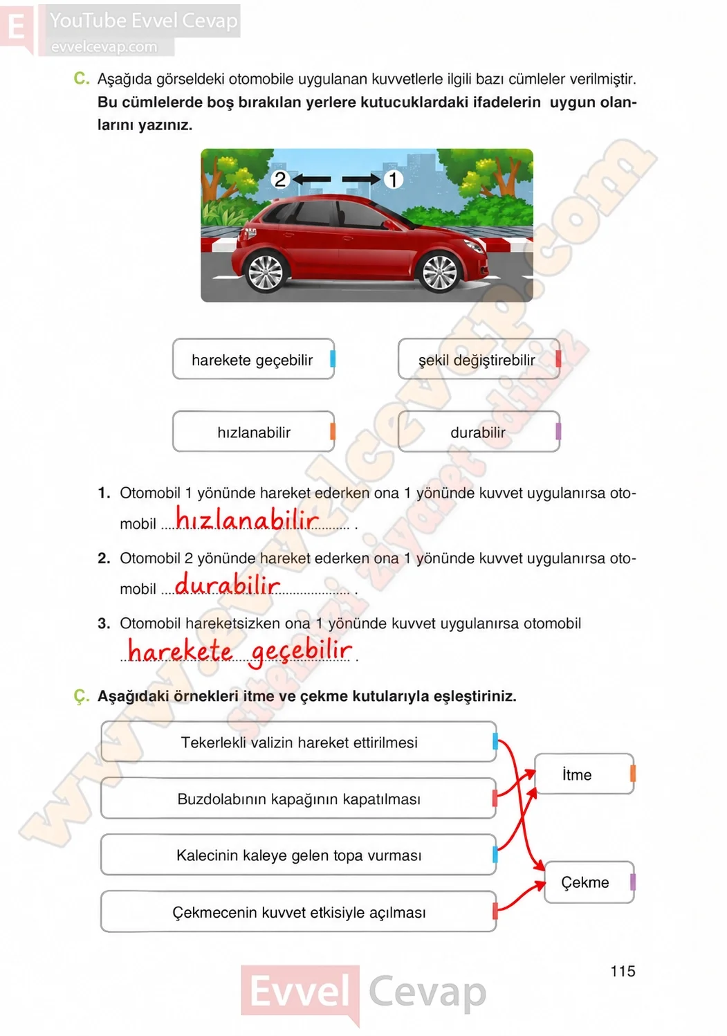 4-sinif-fen-bilimleri-ders-kitabi-cevaplari-adim-adim-yayincilik-sayfa-115-2026