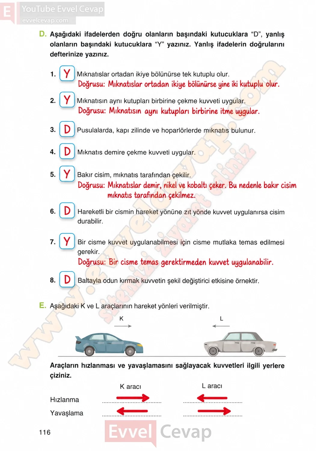 4-sinif-fen-bilimleri-ders-kitabi-cevaplari-adim-adim-yayincilik-sayfa-116-2026