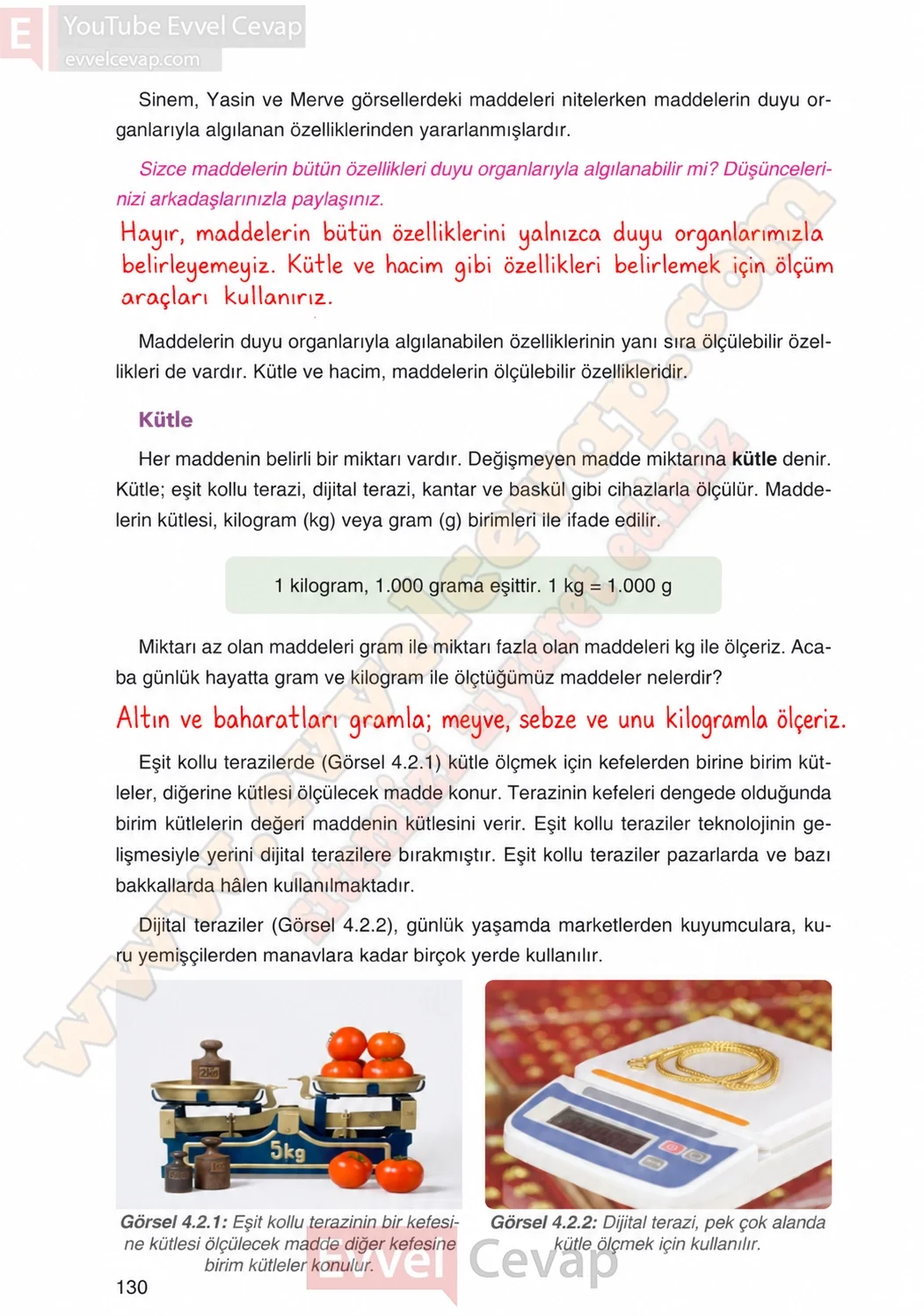 4-sinif-fen-bilimleri-ders-kitabi-cevaplari-adim-adim-yayincilik-sayfa-130-2026