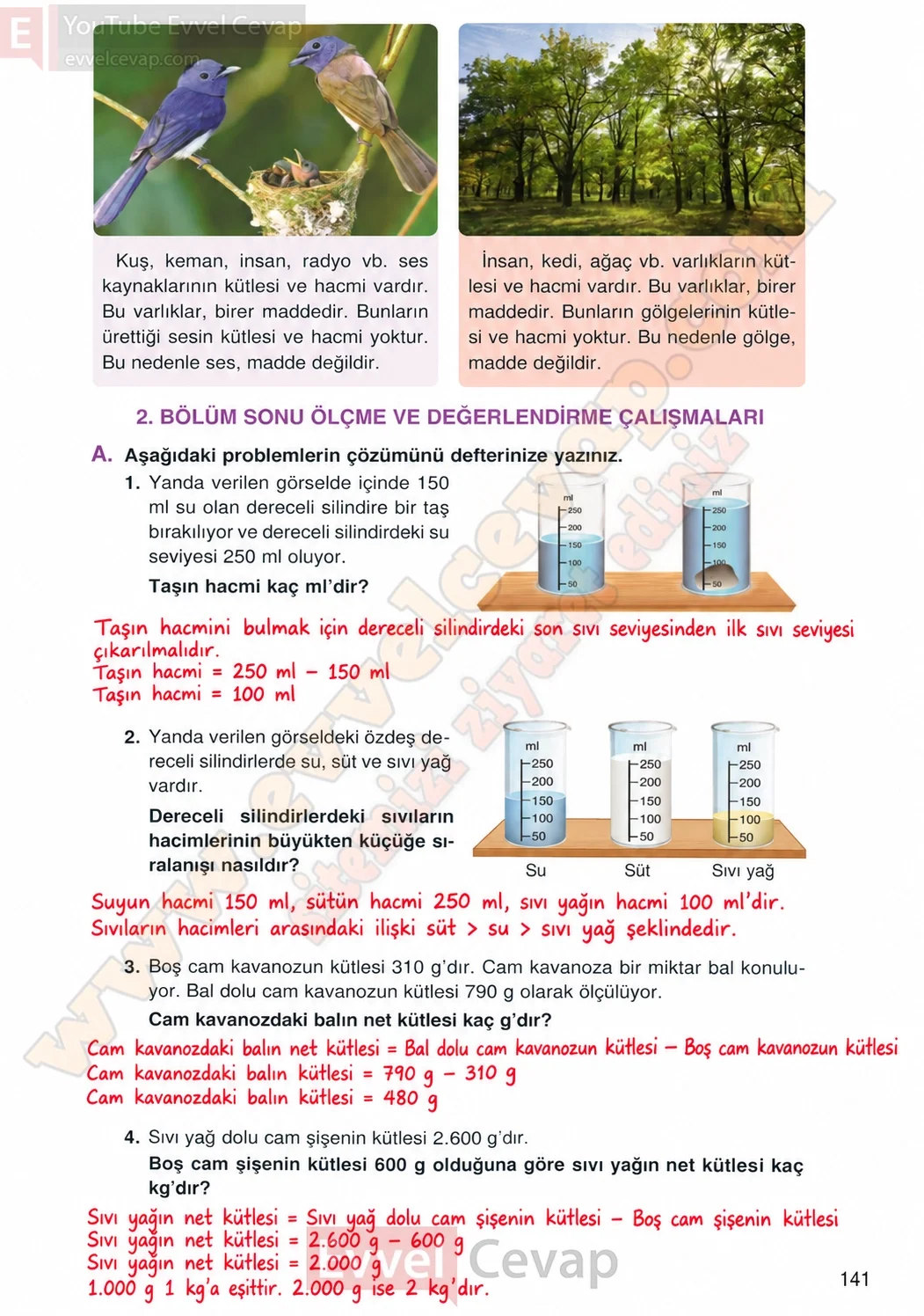4-sinif-fen-bilimleri-ders-kitabi-cevaplari-adim-adim-yayincilik-sayfa-141-2026