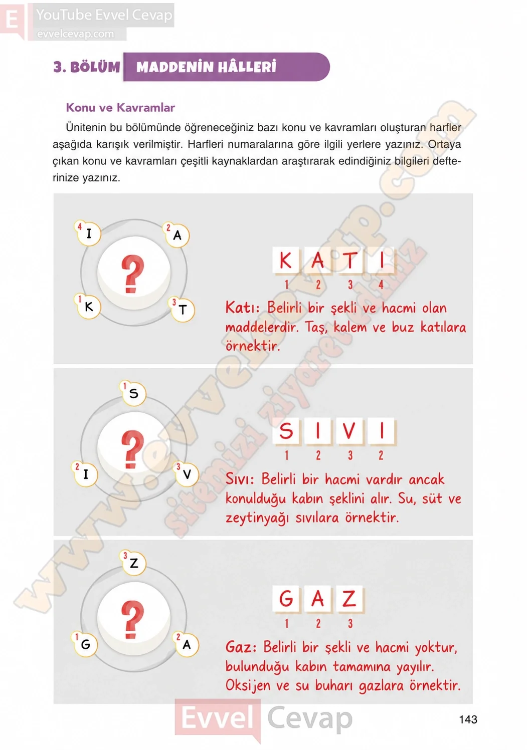 4-sinif-fen-bilimleri-ders-kitabi-cevaplari-adim-adim-yayincilik-sayfa-143-2026