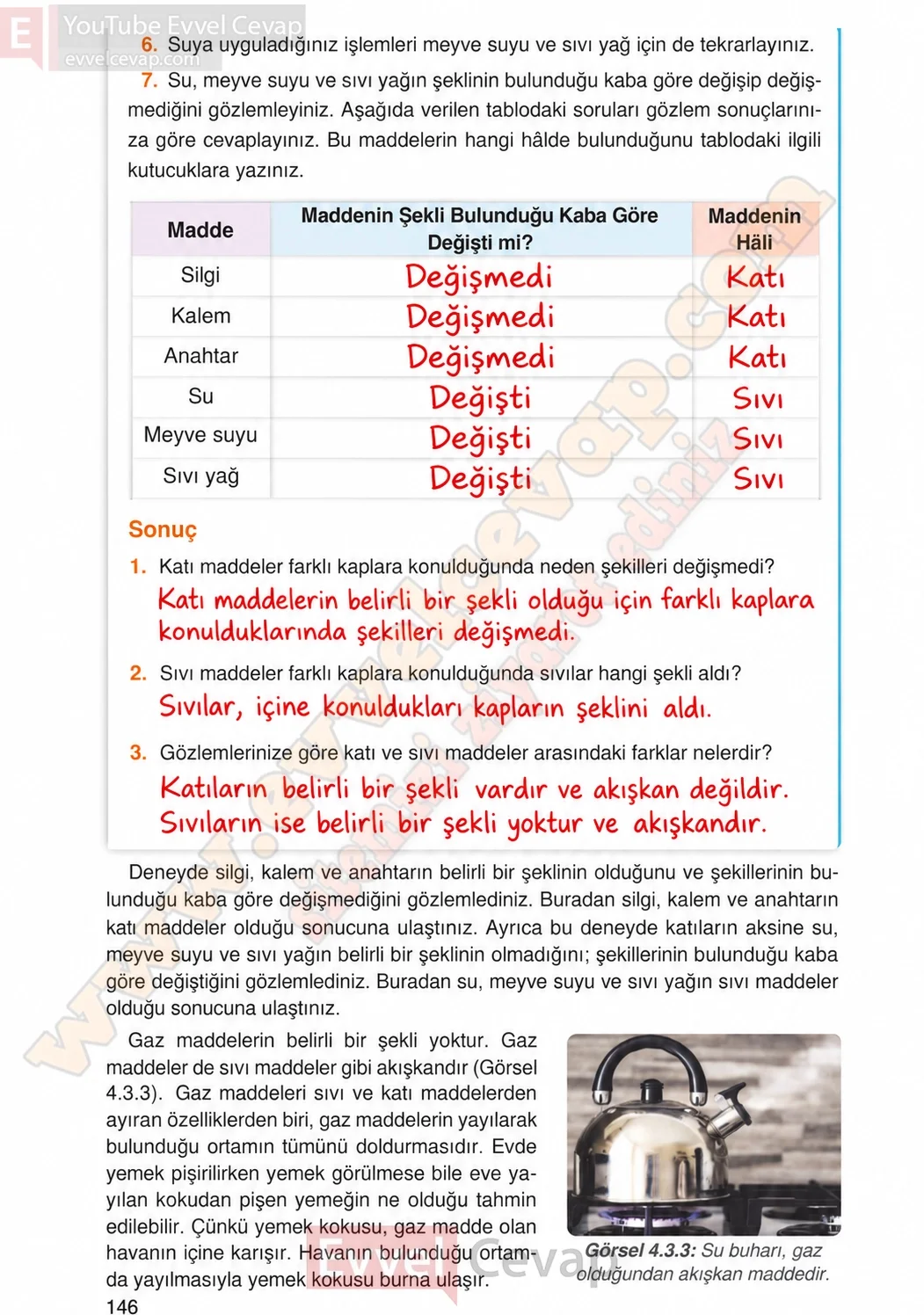 4-sinif-fen-bilimleri-ders-kitabi-cevaplari-adim-adim-yayincilik-sayfa-146-2026