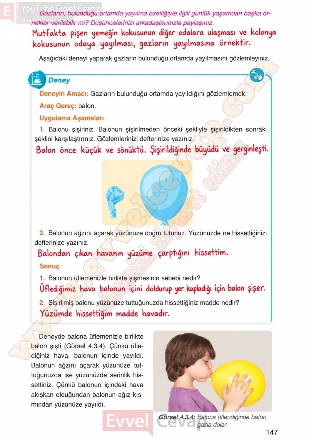 4-sinif-fen-bilimleri-ders-kitabi-cevaplari-adim-adim-yayincilik-sayfa-147-2026