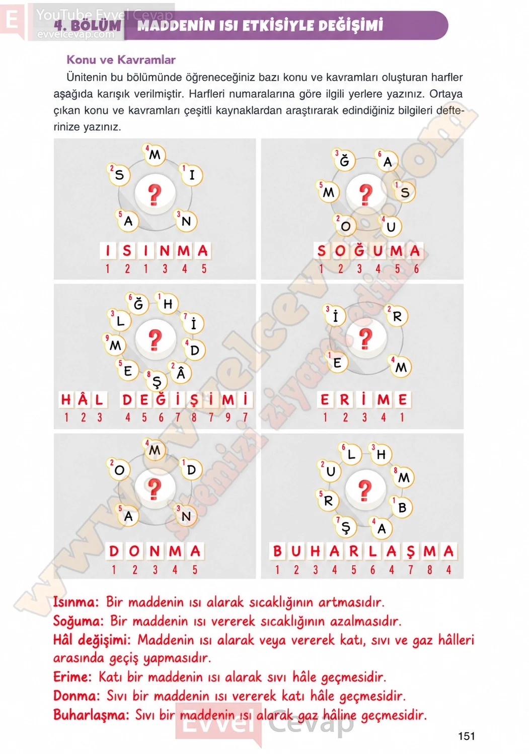 4-sinif-fen-bilimleri-ders-kitabi-cevaplari-adim-adim-yayincilik-sayfa-151-2026