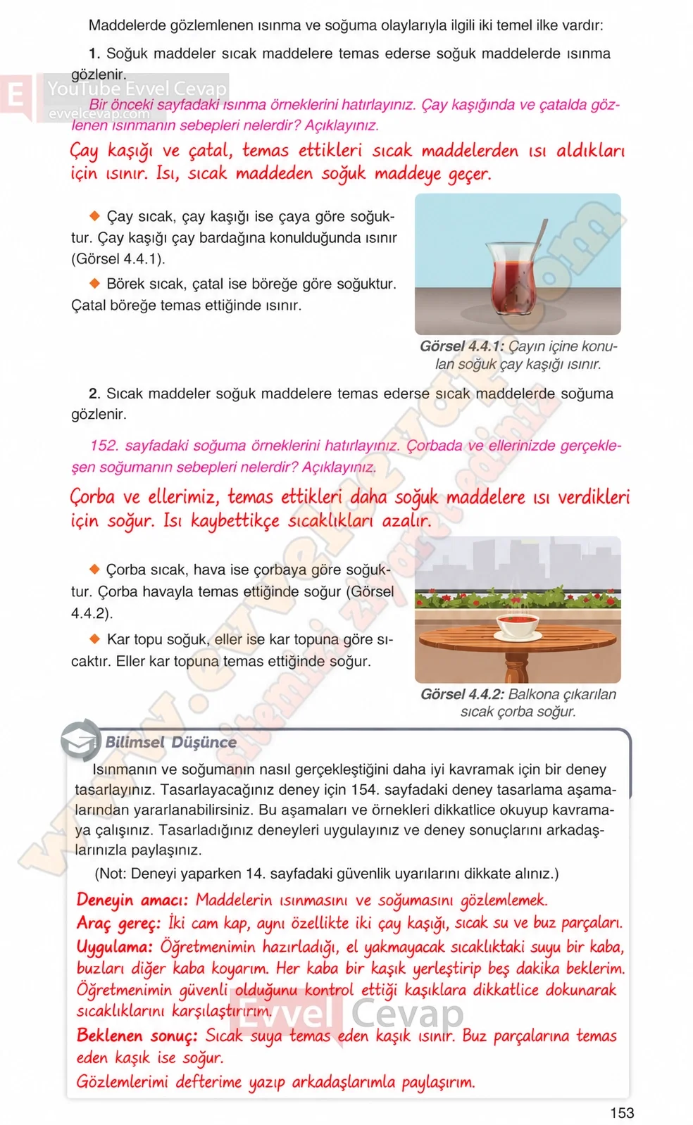 4-sinif-fen-bilimleri-ders-kitabi-cevaplari-adim-adim-yayincilik-sayfa-153-2026