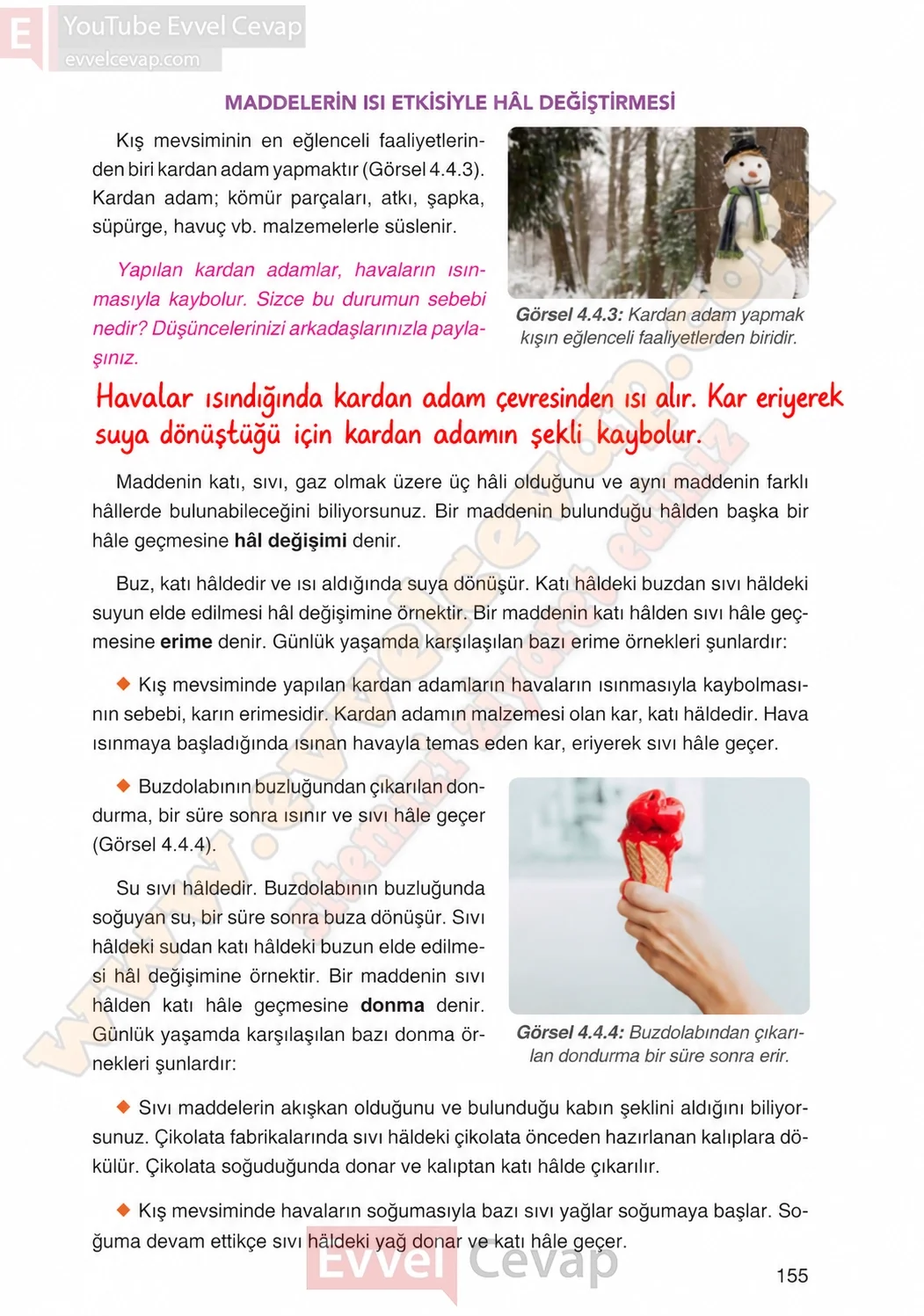 4-sinif-fen-bilimleri-ders-kitabi-cevaplari-adim-adim-yayincilik-sayfa-155-2026