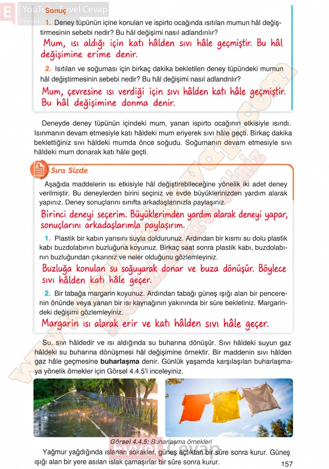 4-sinif-fen-bilimleri-ders-kitabi-cevaplari-adim-adim-yayincilik-sayfa-157-2026