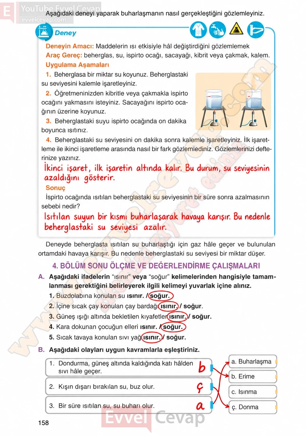 4-sinif-fen-bilimleri-ders-kitabi-cevaplari-adim-adim-yayincilik-sayfa-158-2026