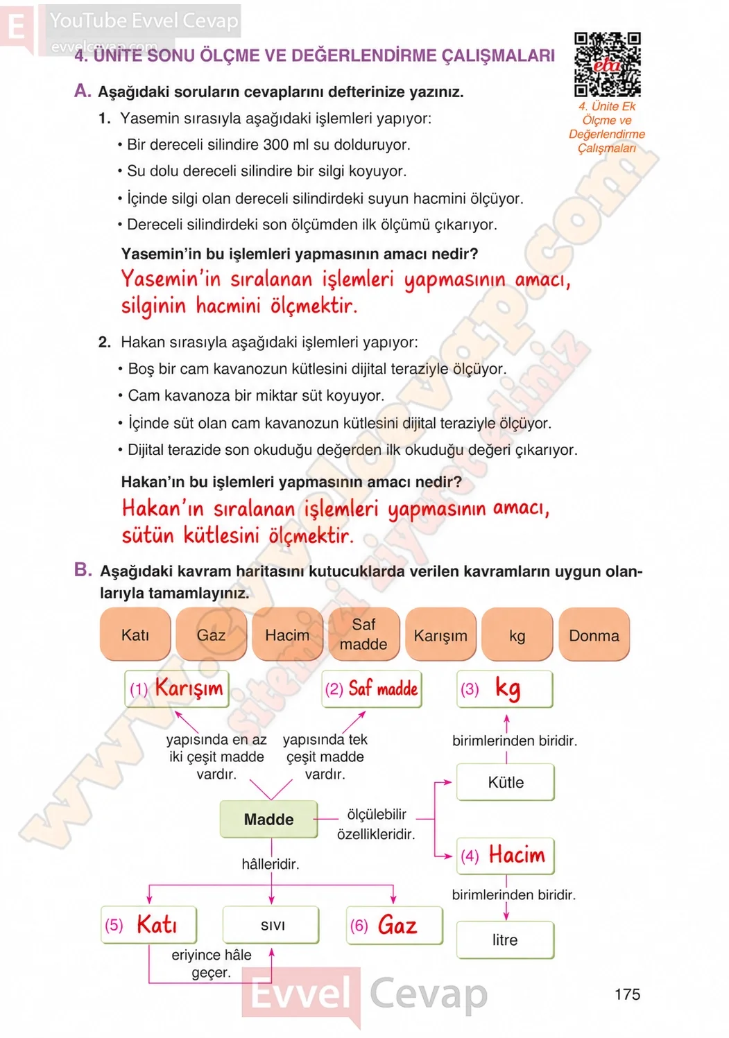 4-sinif-fen-bilimleri-ders-kitabi-cevaplari-adim-adim-yayincilik-sayfa-175-2026
