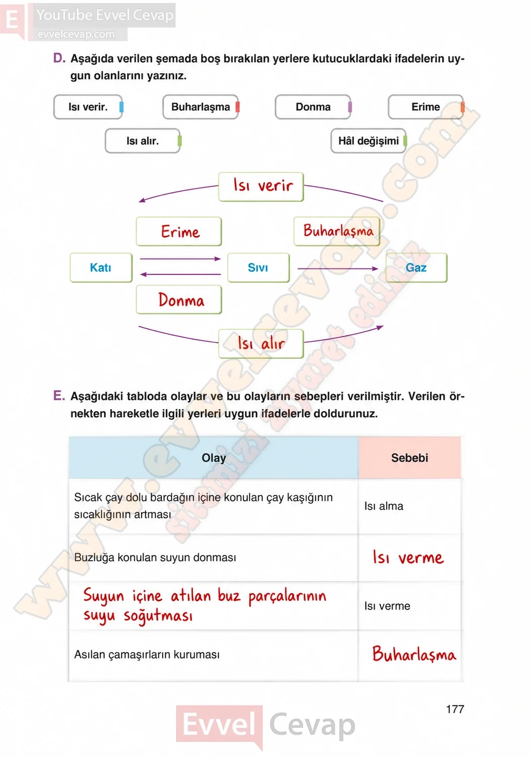 4-sinif-fen-bilimleri-ders-kitabi-cevaplari-adim-adim-yayincilik-sayfa-177-2026