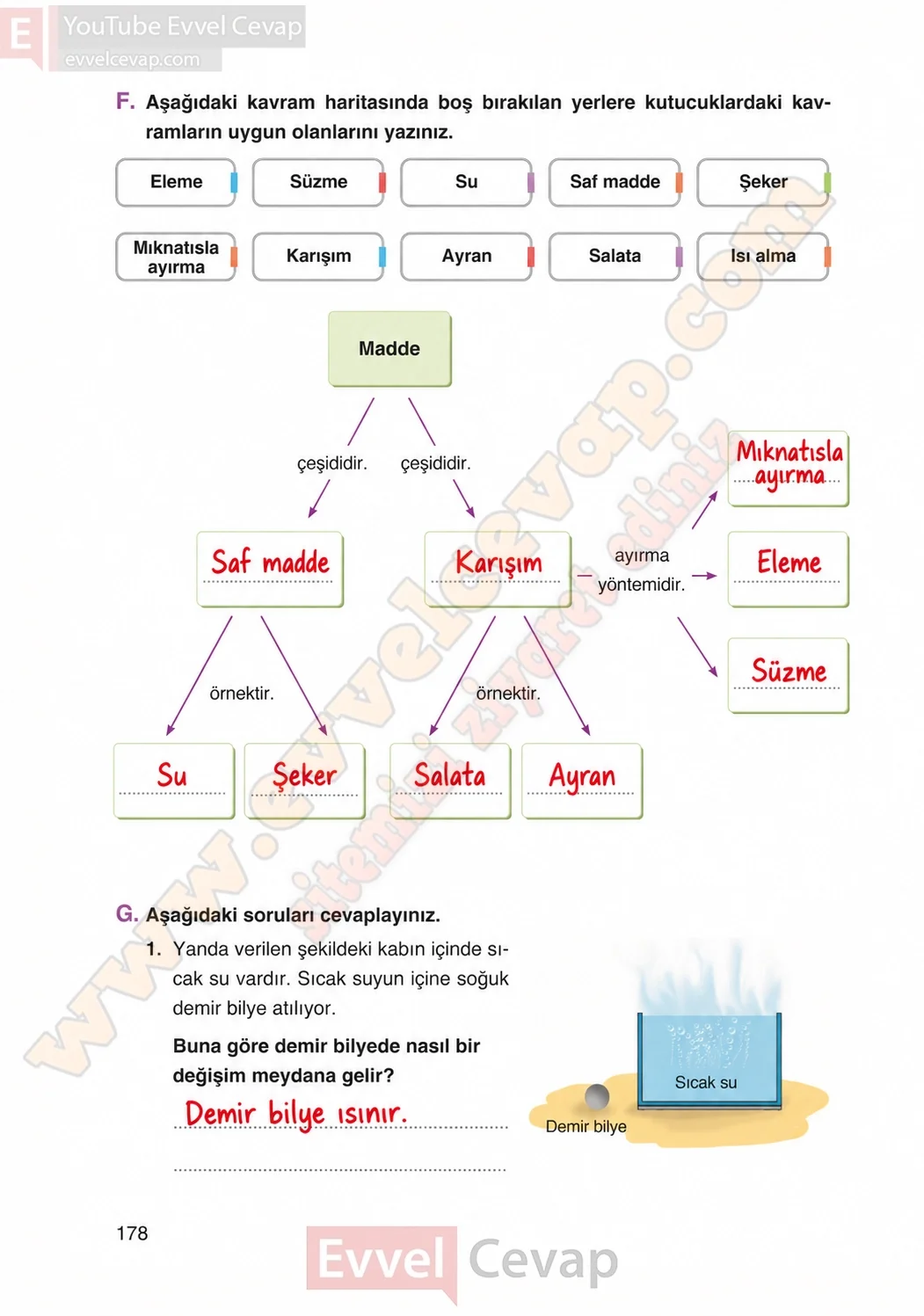 4-sinif-fen-bilimleri-ders-kitabi-cevaplari-adim-adim-yayincilik-sayfa-178-2026