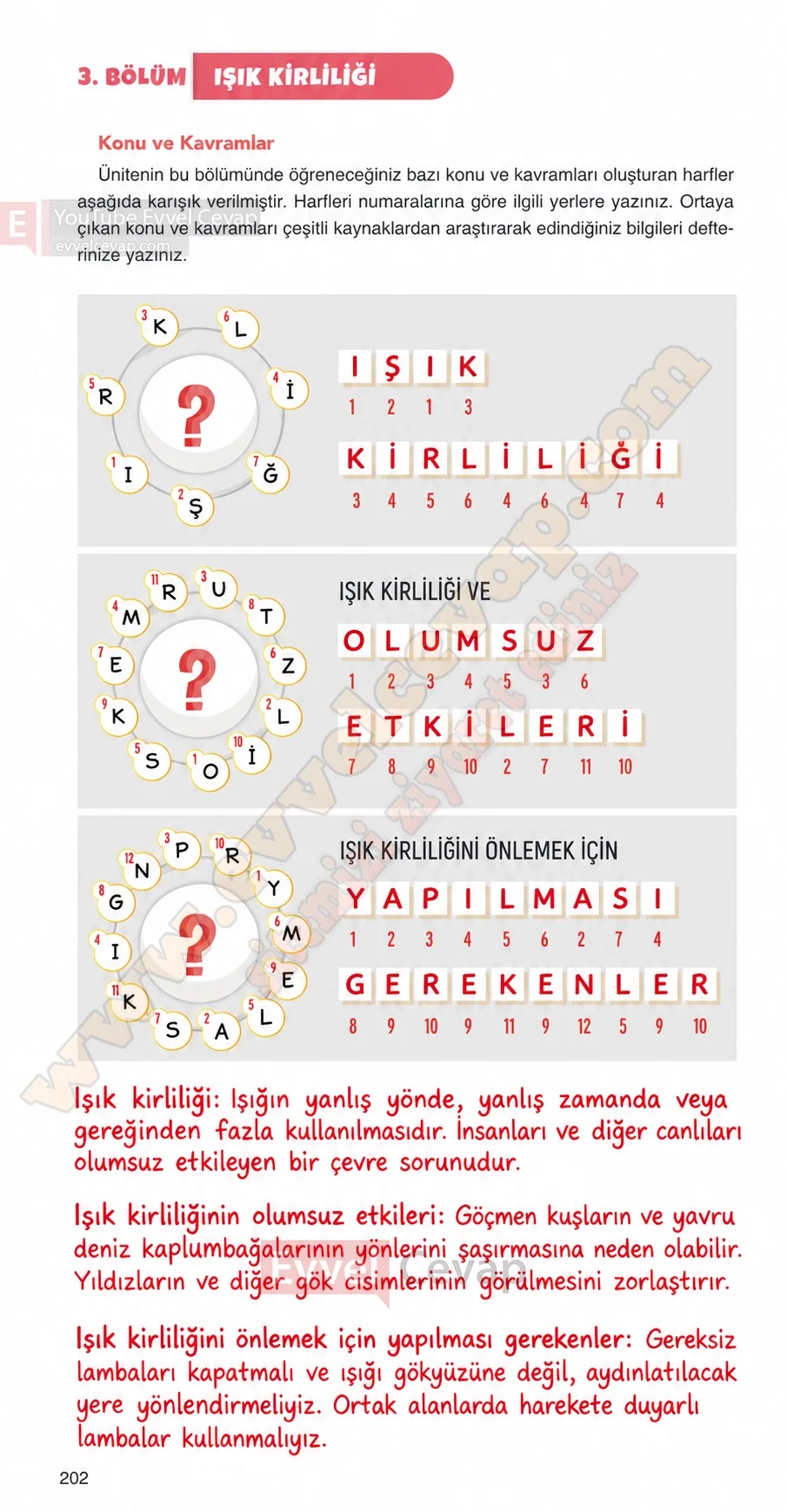 4-sinif-fen-bilimleri-ders-kitabi-cevaplari-adim-adim-yayincilik-sayfa-202-2026