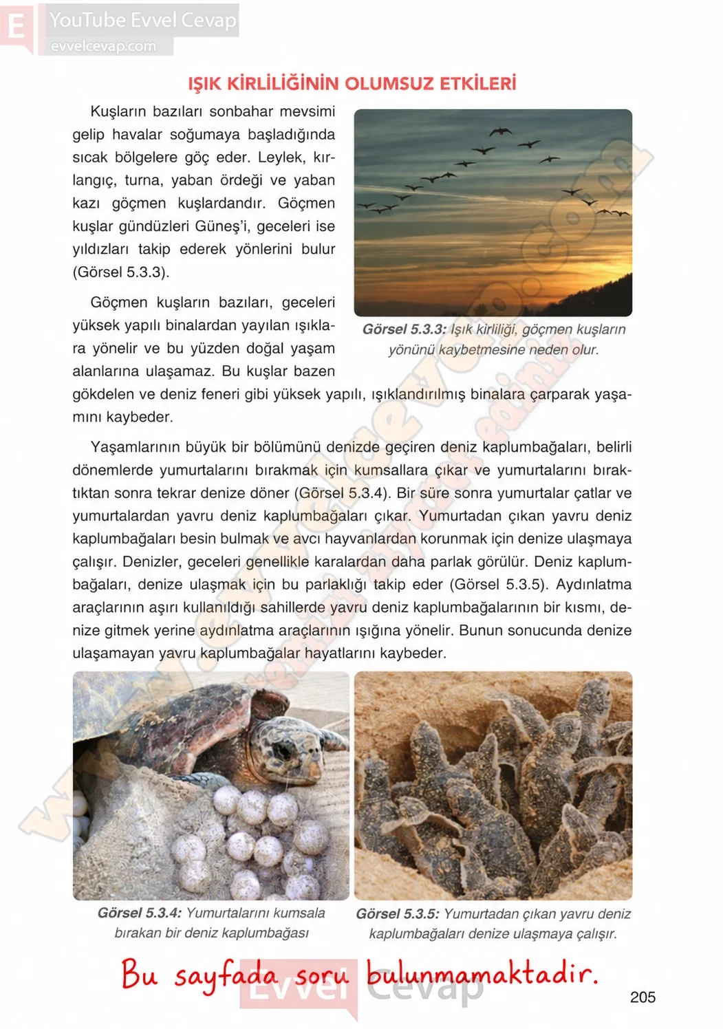 4-sinif-fen-bilimleri-ders-kitabi-cevaplari-adim-adim-yayincilik-sayfa-205-2026