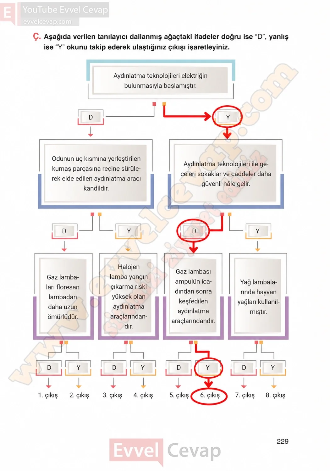 4-sinif-fen-bilimleri-ders-kitabi-cevaplari-adim-adim-yayincilik-sayfa-229-2026