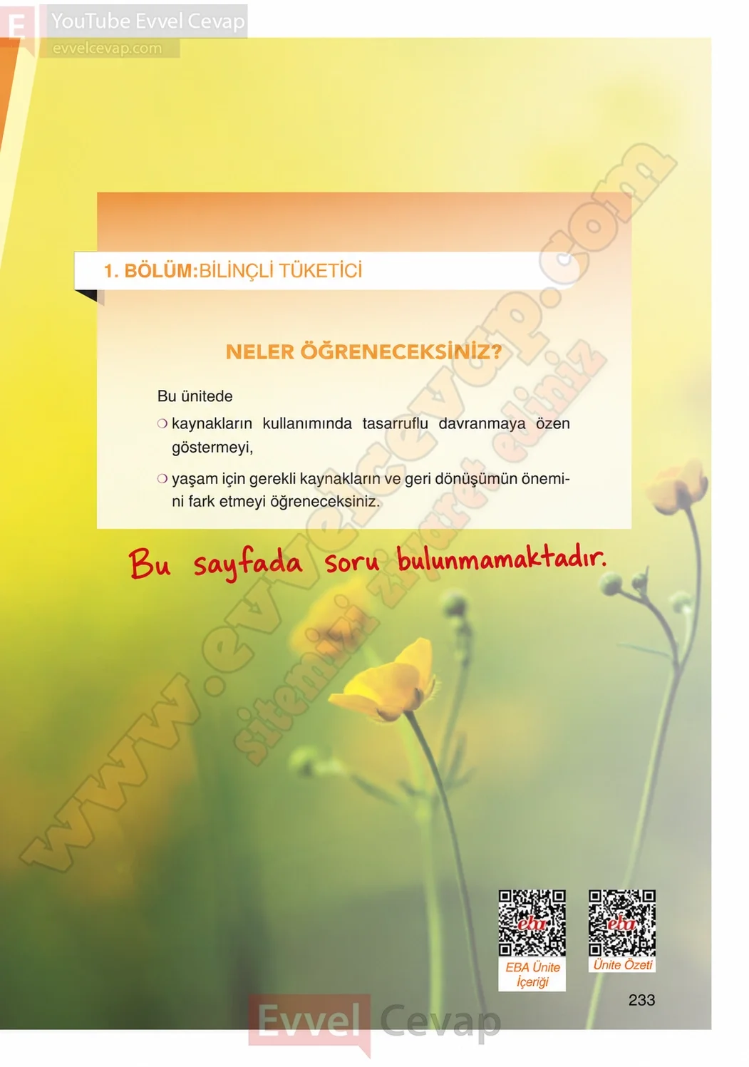 4-sinif-fen-bilimleri-ders-kitabi-cevaplari-adim-adim-yayincilik-sayfa-233-2026