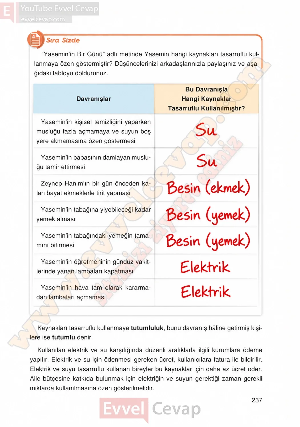 4-sinif-fen-bilimleri-ders-kitabi-cevaplari-adim-adim-yayincilik-sayfa-237-2026