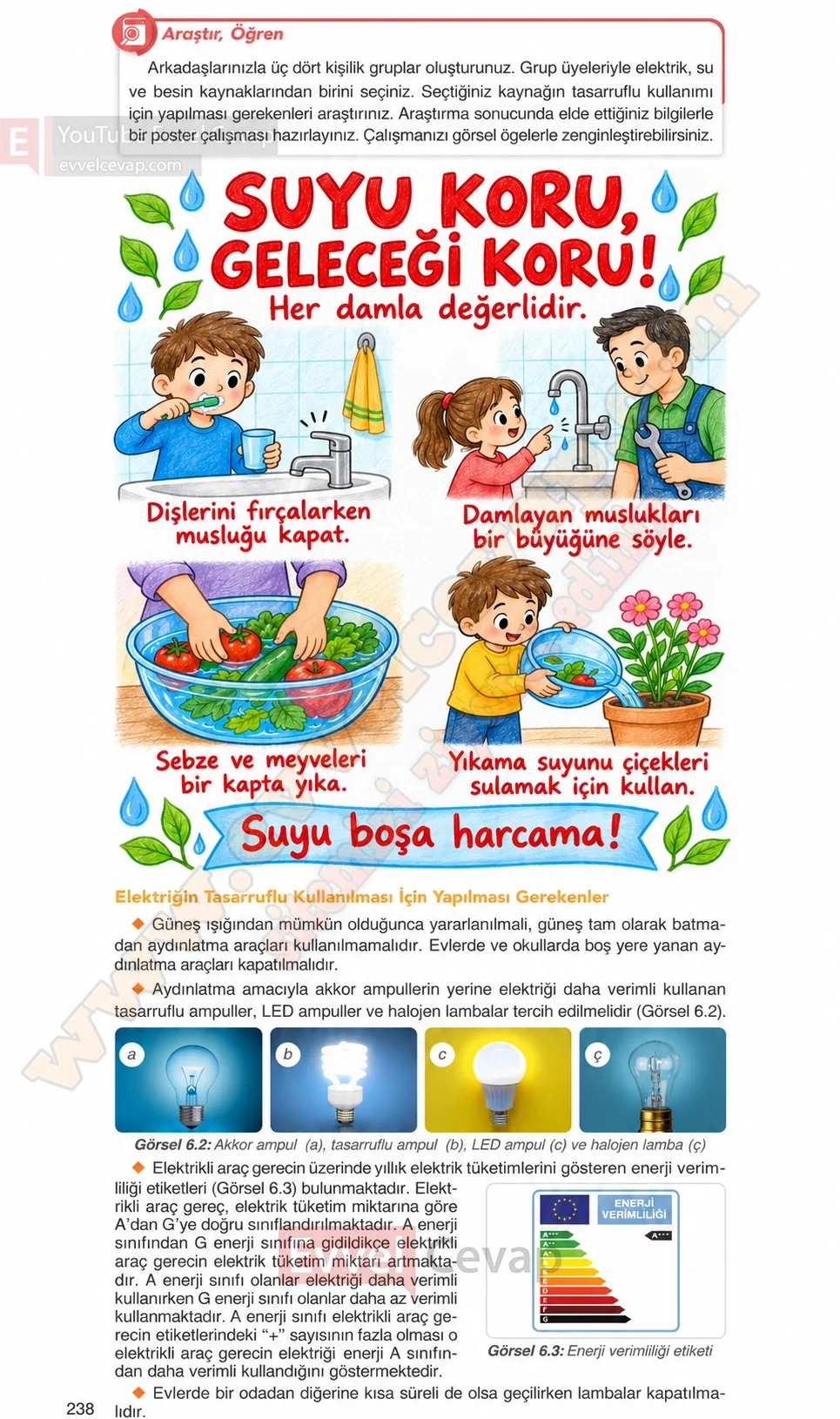 4-sinif-fen-bilimleri-ders-kitabi-cevaplari-adim-adim-yayincilik-sayfa-238-2026