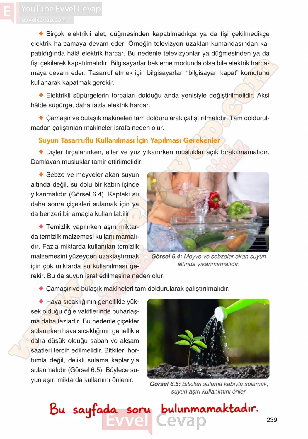4-sinif-fen-bilimleri-ders-kitabi-cevaplari-adim-adim-yayincilik-sayfa-239-2026