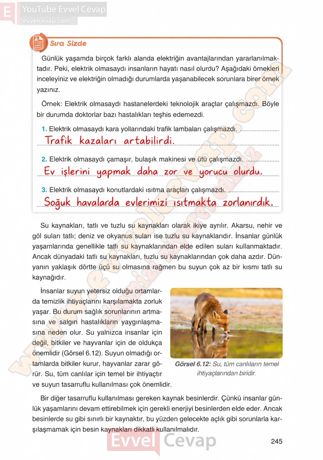 4-sinif-fen-bilimleri-ders-kitabi-cevaplari-adim-adim-yayincilik-sayfa-245-2026