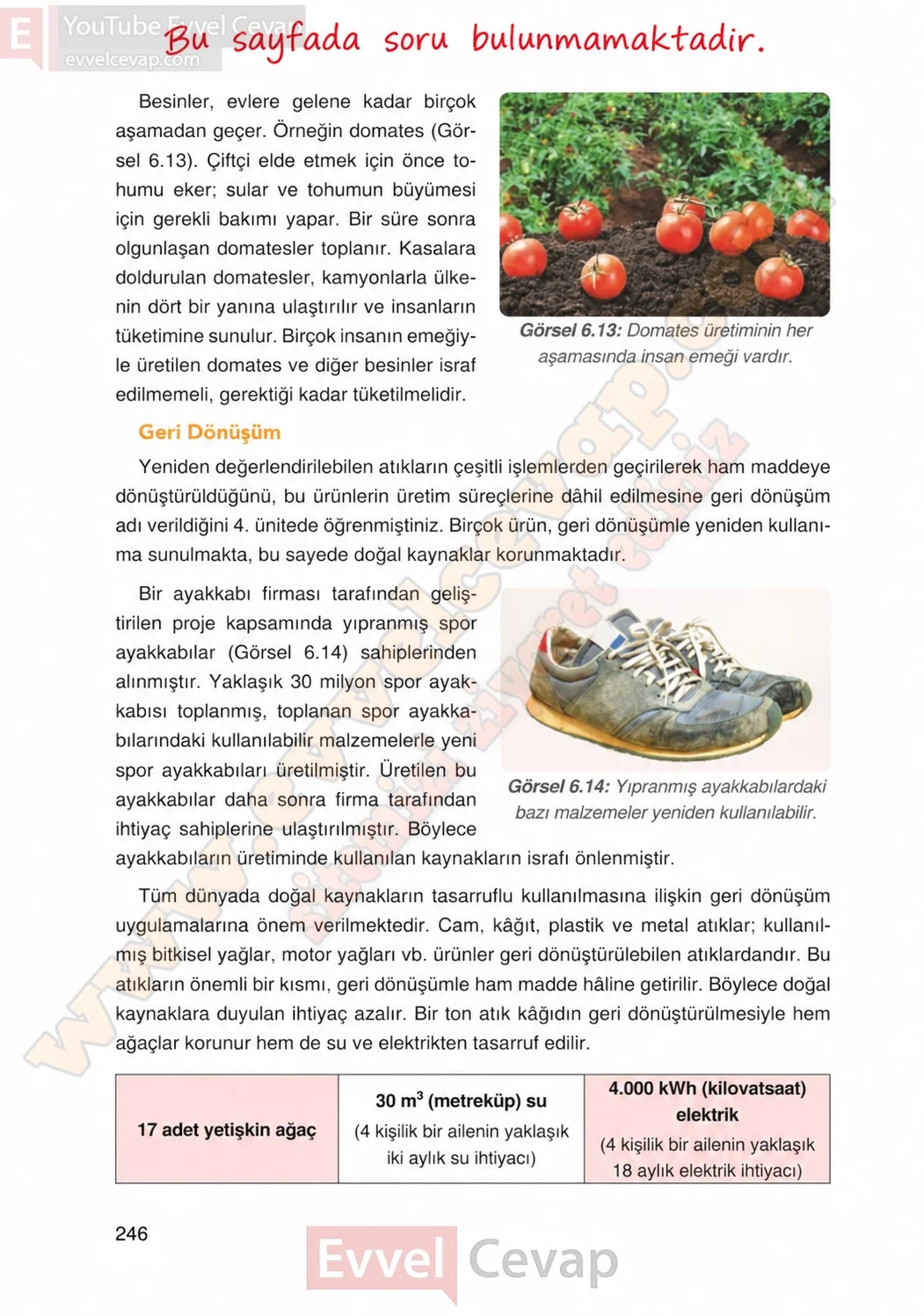 4-sinif-fen-bilimleri-ders-kitabi-cevaplari-adim-adim-yayincilik-sayfa-246-2026