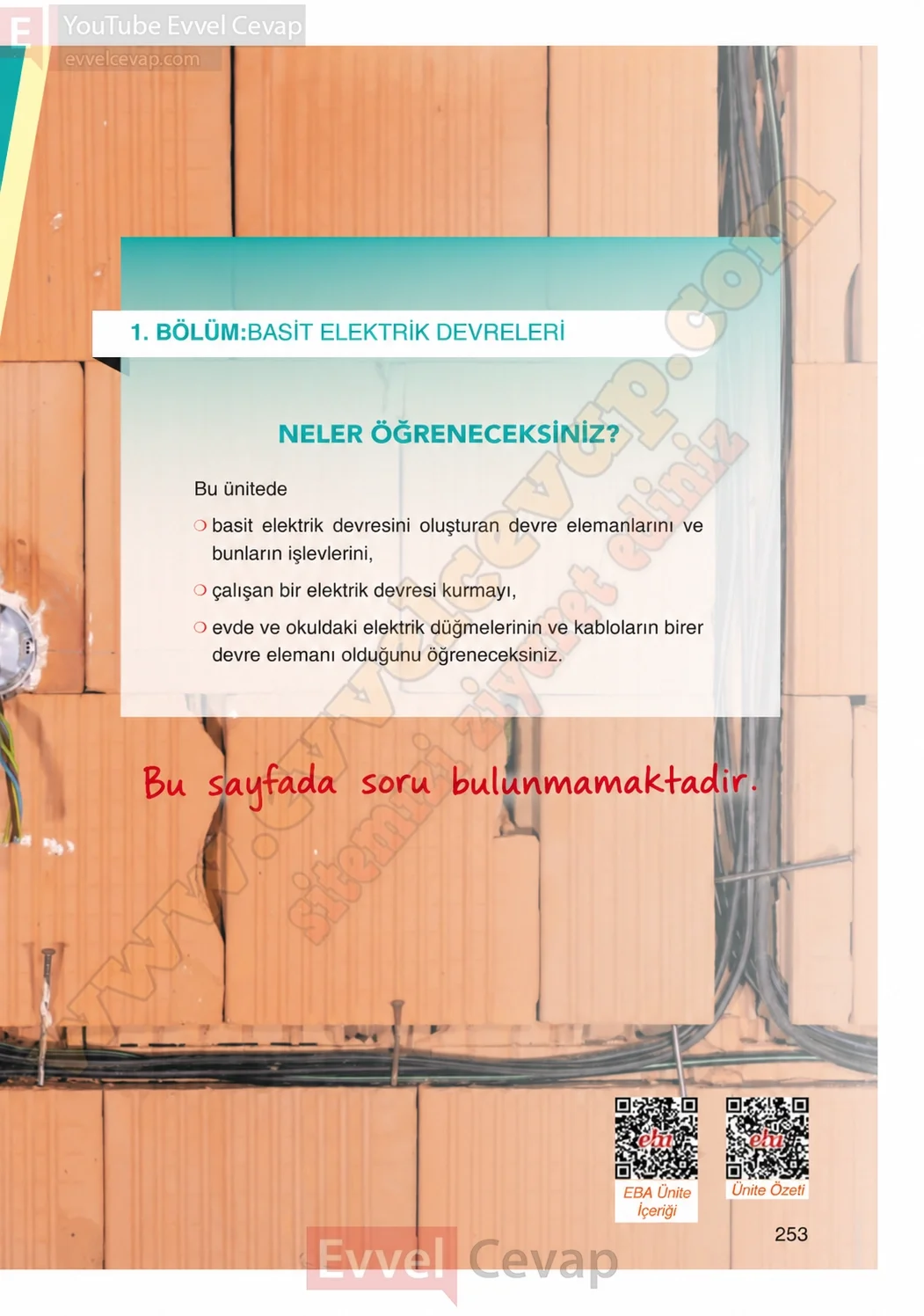 4-sinif-fen-bilimleri-ders-kitabi-cevaplari-adim-adim-yayincilik-sayfa-253-2026