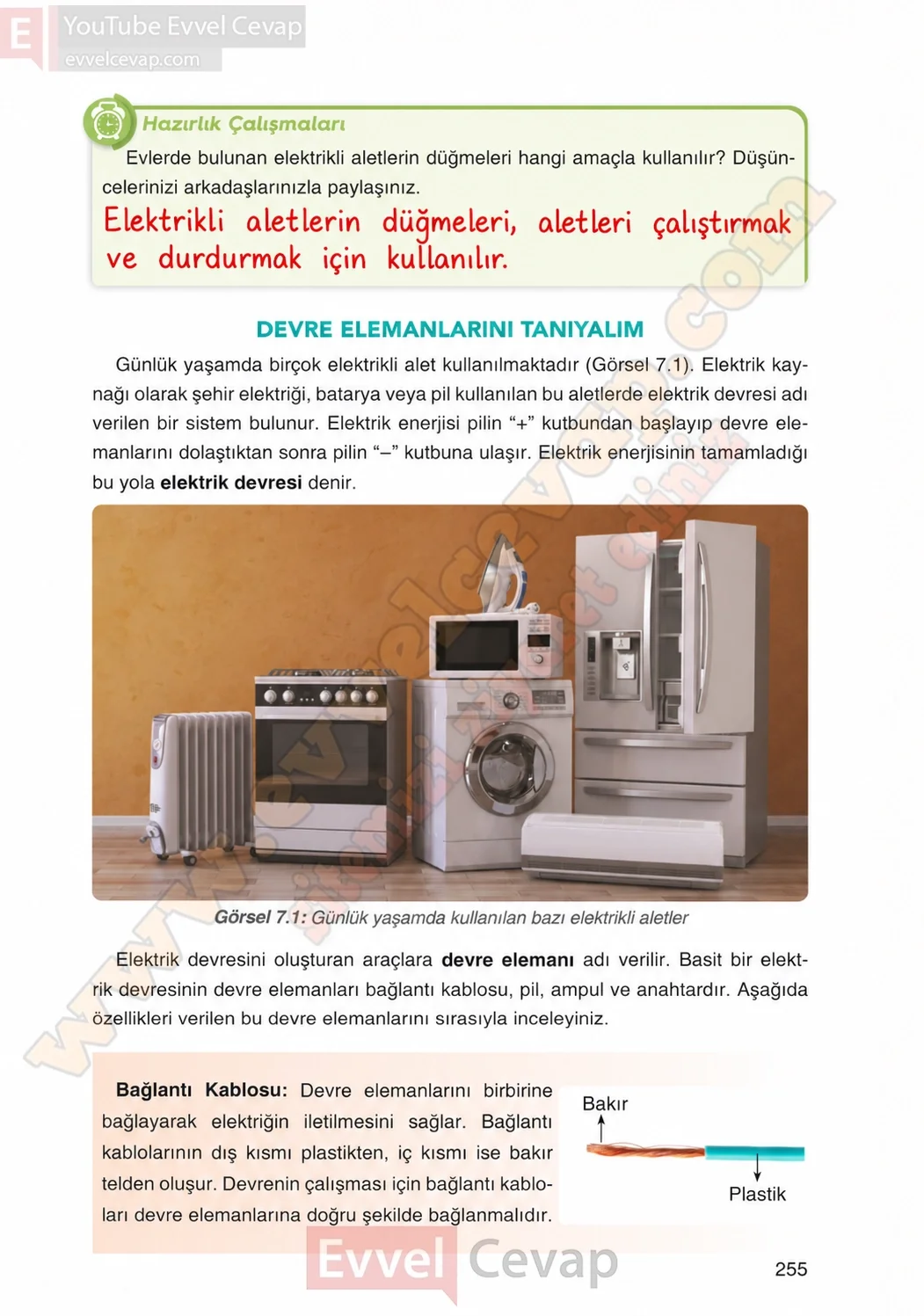 4-sinif-fen-bilimleri-ders-kitabi-cevaplari-adim-adim-yayincilik-sayfa-255-2026