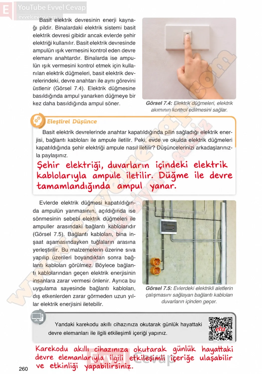 4-sinif-fen-bilimleri-ders-kitabi-cevaplari-adim-adim-yayincilik-sayfa-260-2026