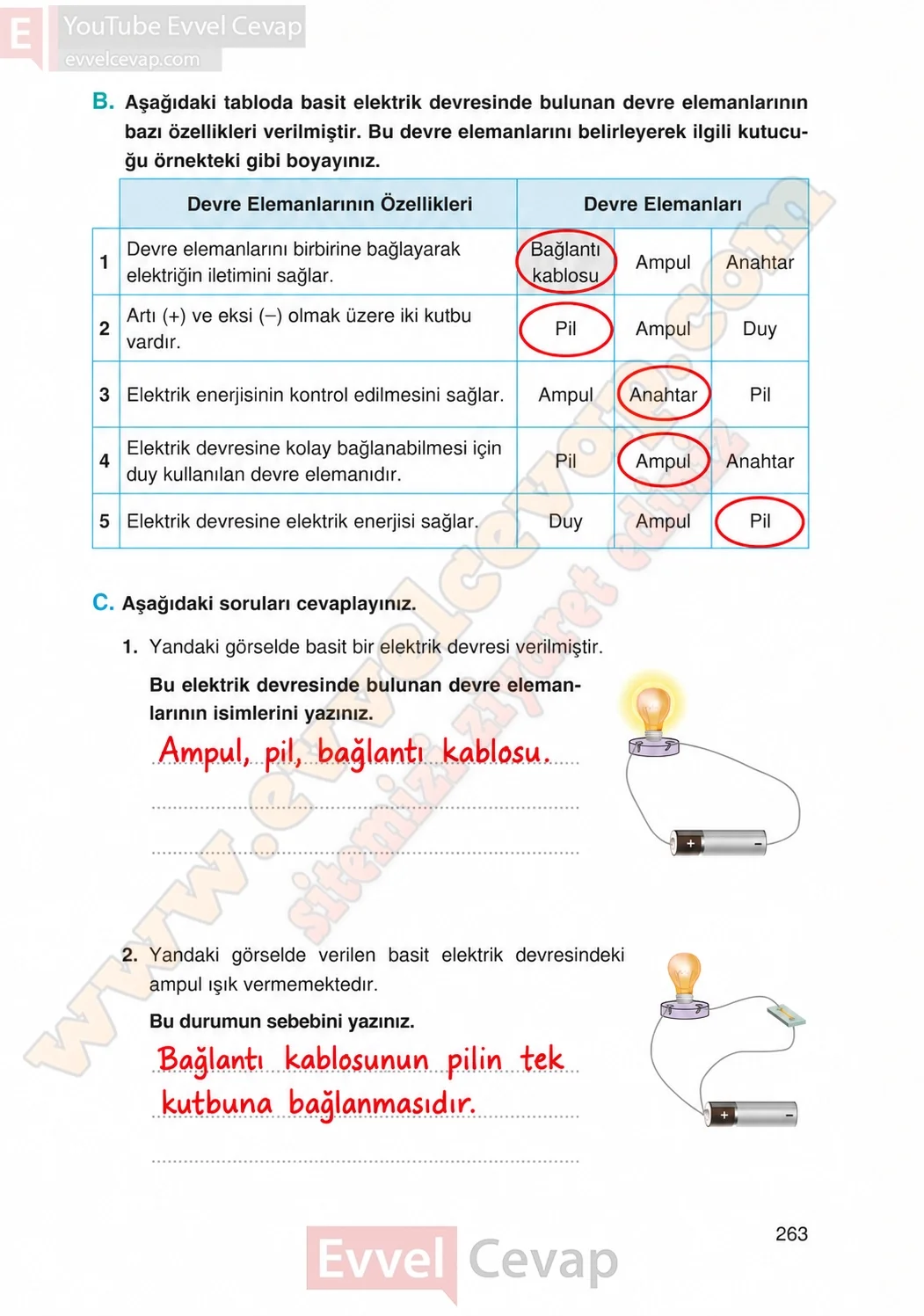 4-sinif-fen-bilimleri-ders-kitabi-cevaplari-adim-adim-yayincilik-sayfa-263-2026