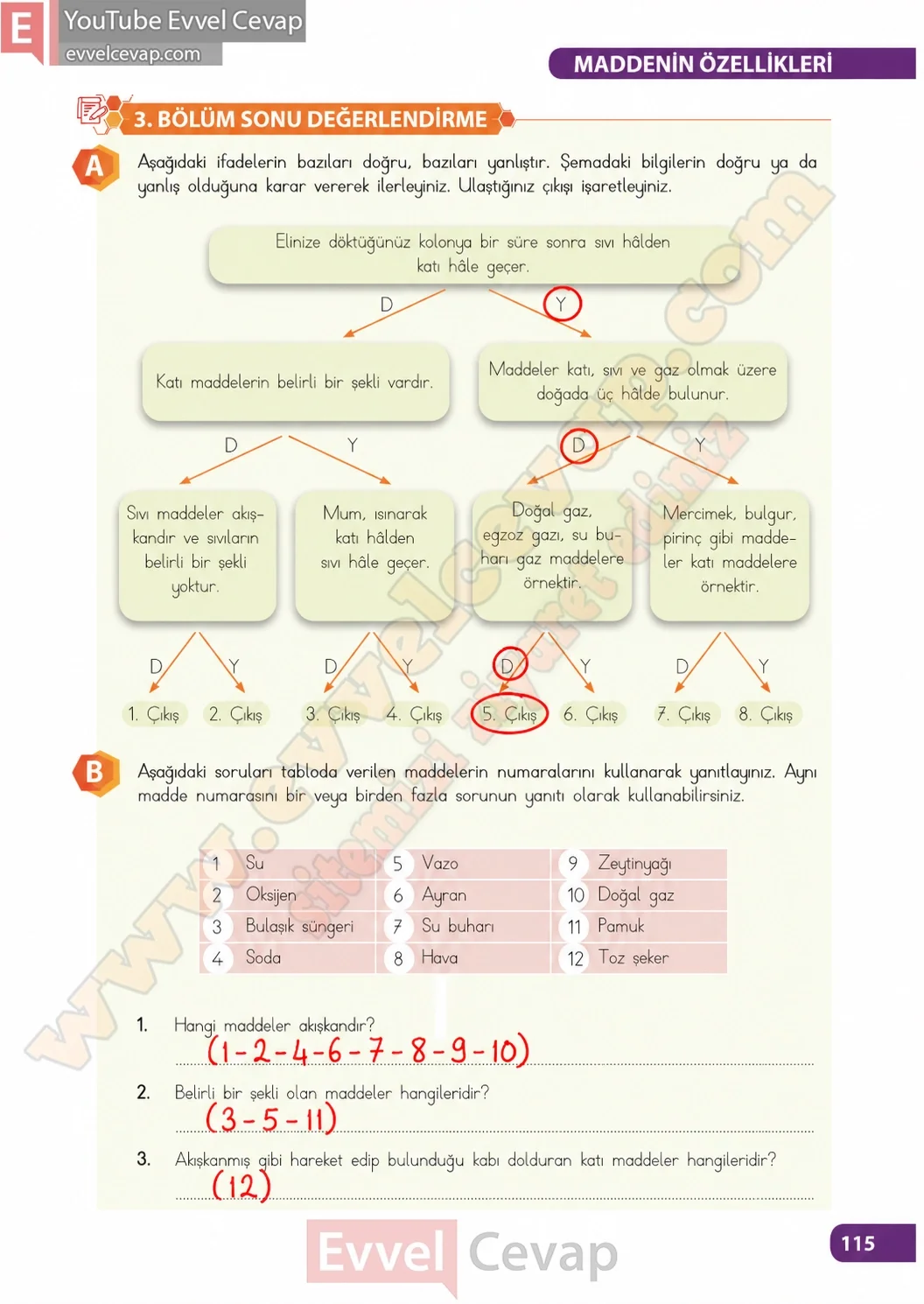 4-sinif-fen-bilimleri-ders-kitabi-sayfa-115-cevaplari-meb-yayinlari-2026-2027