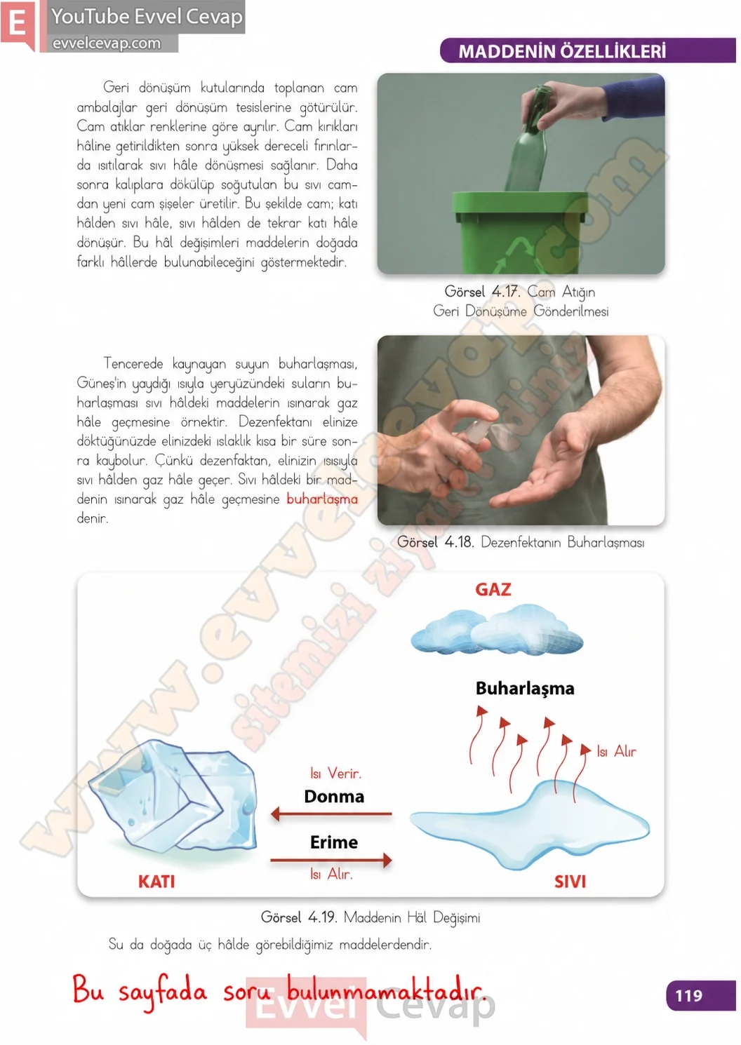 4-sinif-fen-bilimleri-ders-kitabi-sayfa-119-cevaplari-meb-yayinlari-2026-2027