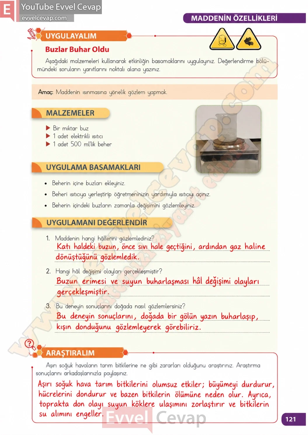 4-sinif-fen-bilimleri-ders-kitabi-sayfa-121-cevaplari-meb-yayinlari-2026-2027