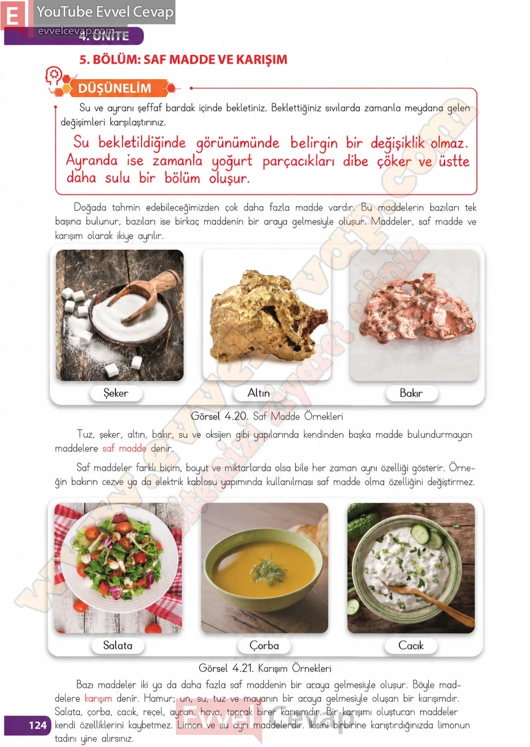 4-sinif-fen-bilimleri-ders-kitabi-sayfa-124-cevaplari-meb-yayinlari-2026-2027