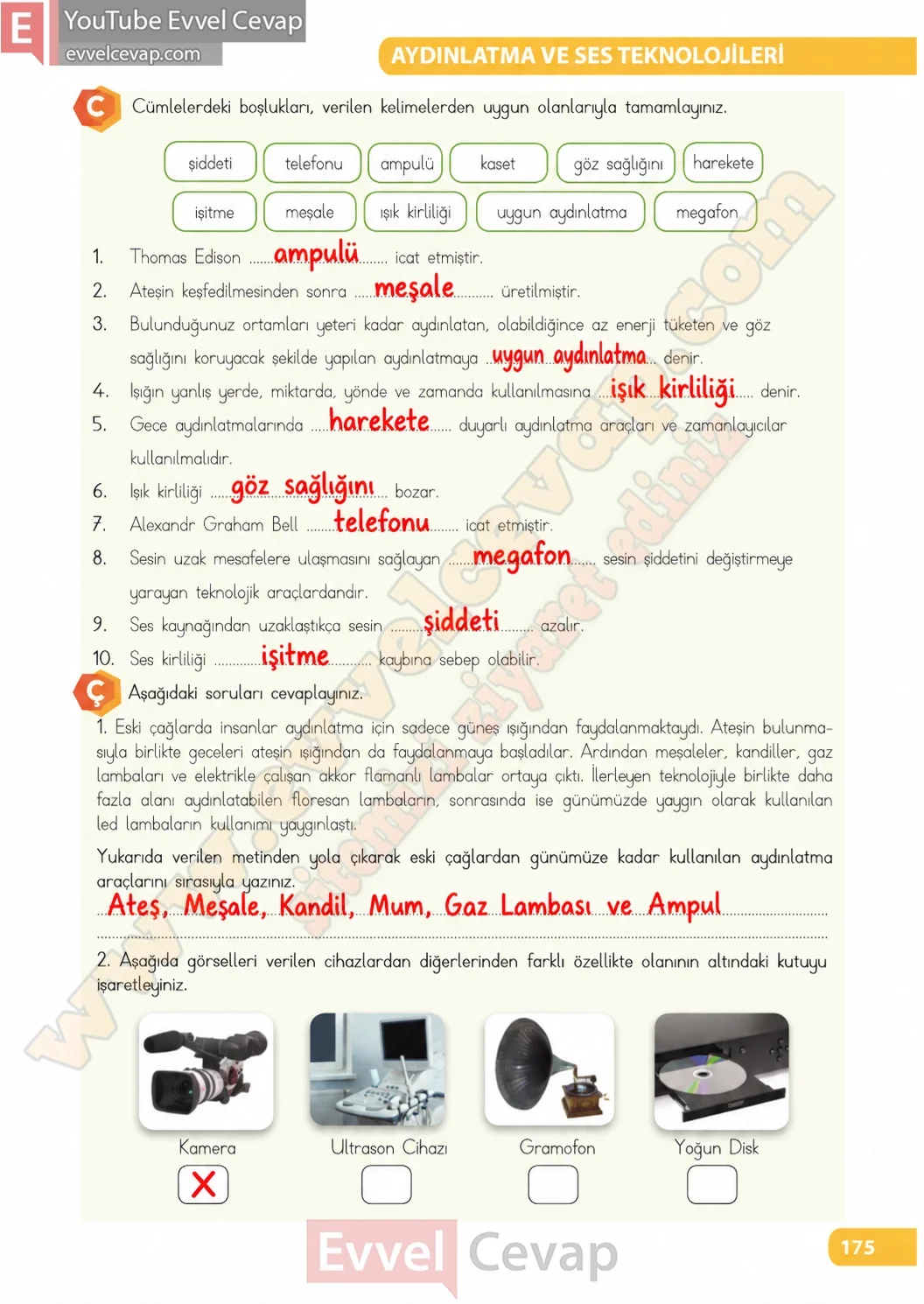 4-sinif-fen-bilimleri-ders-kitabi-sayfa-175-cevaplari-meb-yayinlari-2026-2027