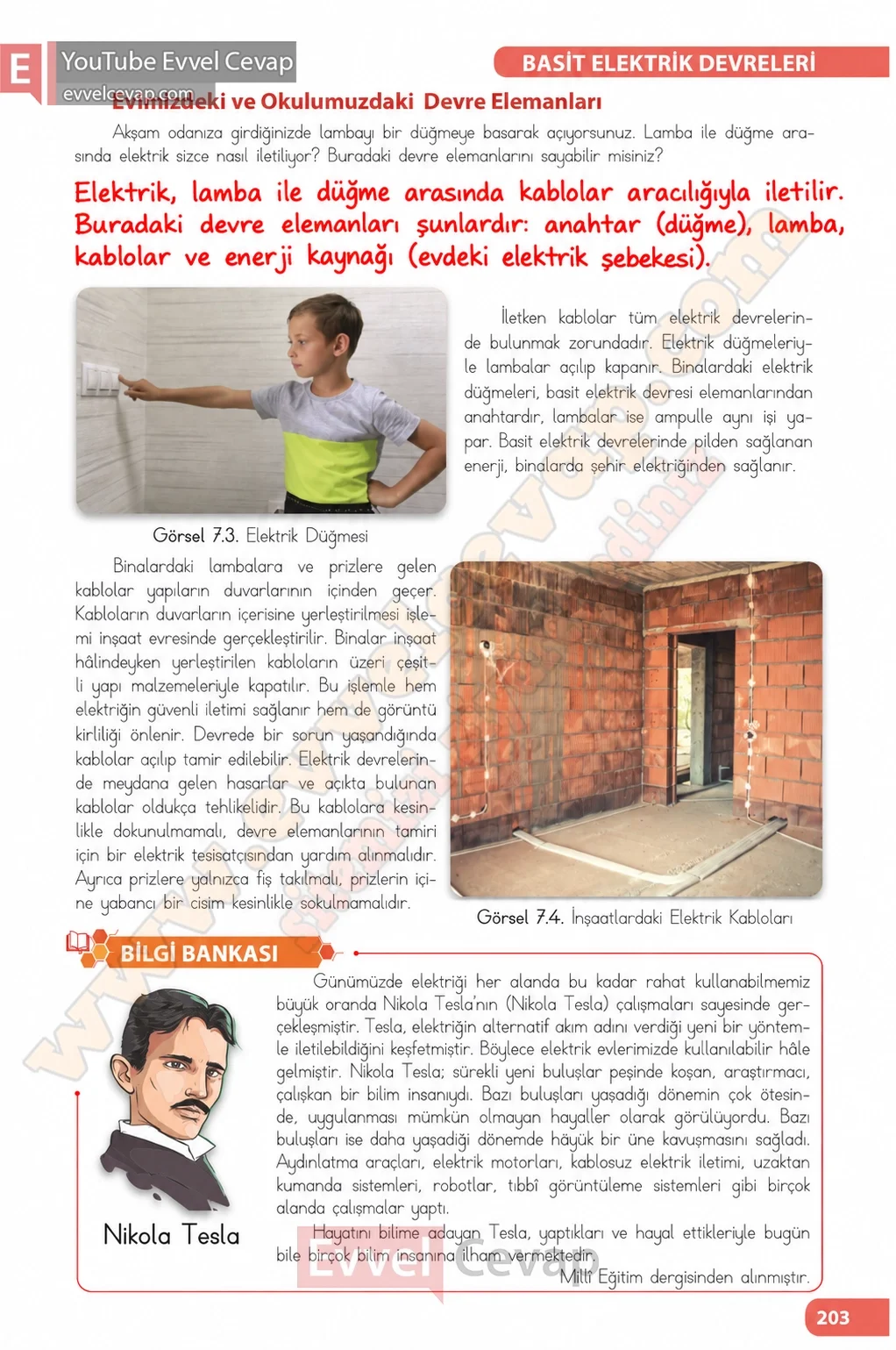 4-sinif-fen-bilimleri-ders-kitabi-sayfa-203-cevaplari-meb-yayinlari-2026-2027