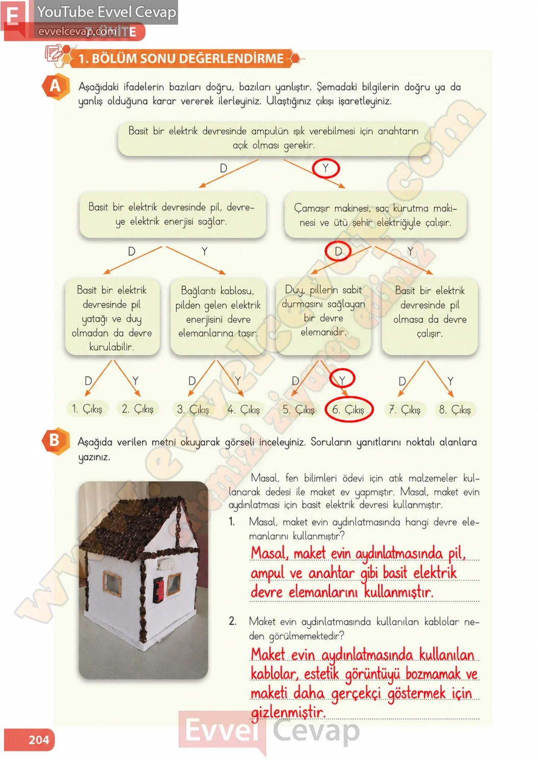 4-sinif-fen-bilimleri-ders-kitabi-sayfa-204-cevaplari-meb-yayinlari-2026-2027