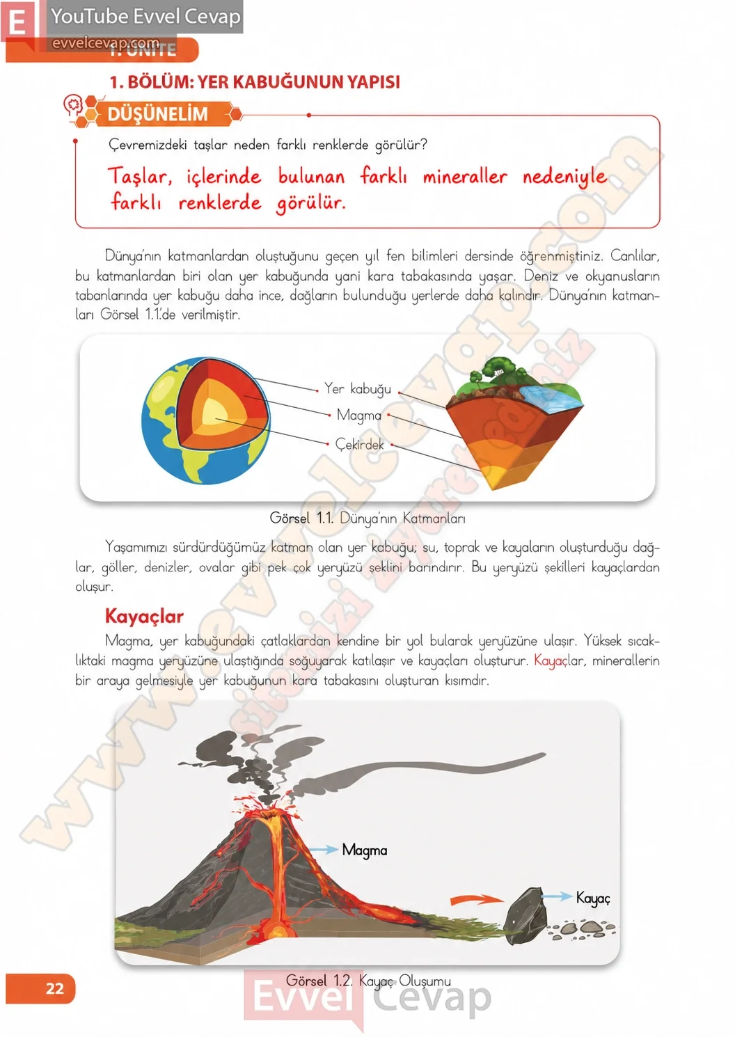 4-sinif-fen-bilimleri-ders-kitabi-sayfa-22-cevaplari-meb-yayinlari-2026-2027