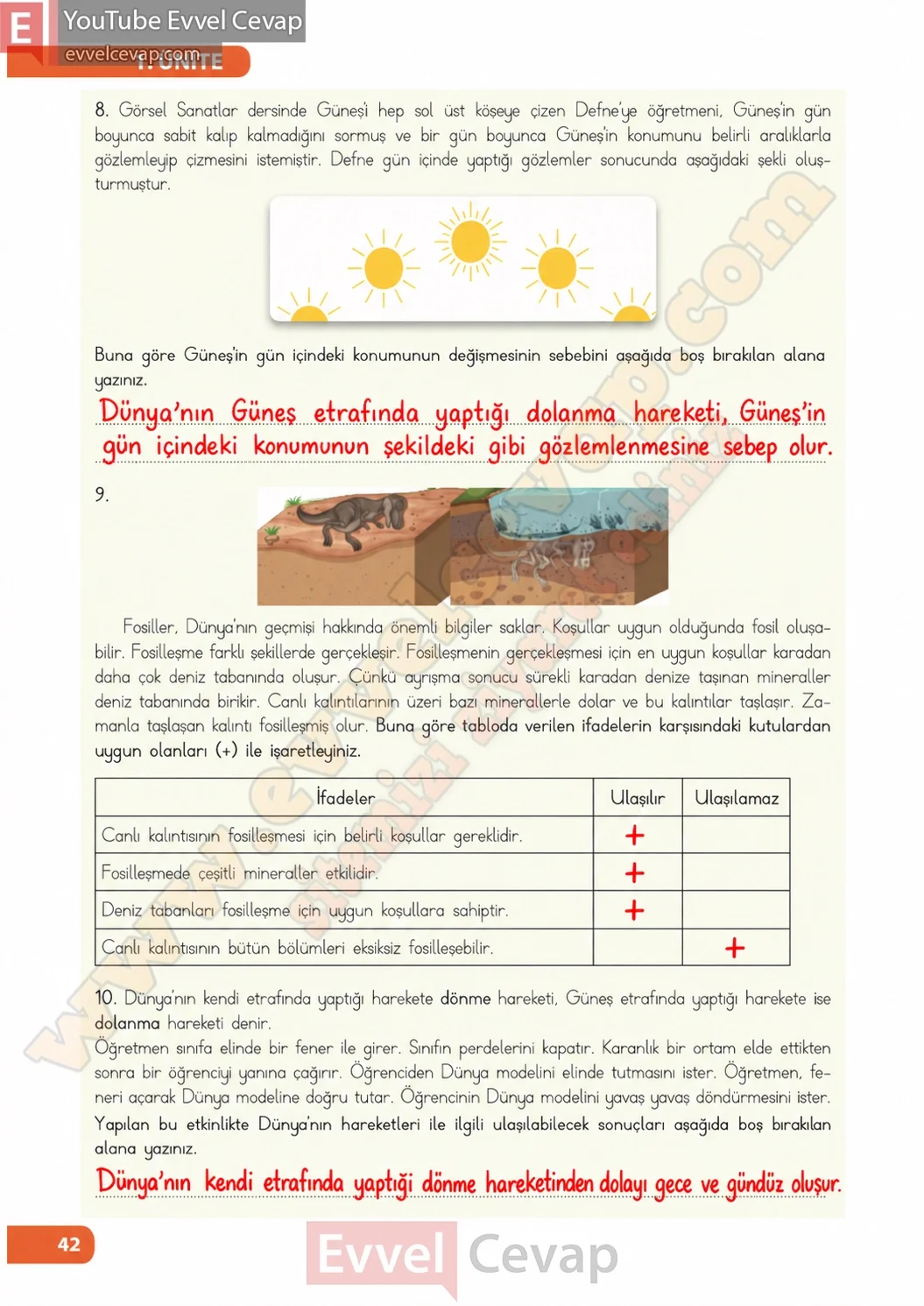 4-sinif-fen-bilimleri-ders-kitabi-sayfa-42-cevaplari-meb-yayinlari-2026-2027