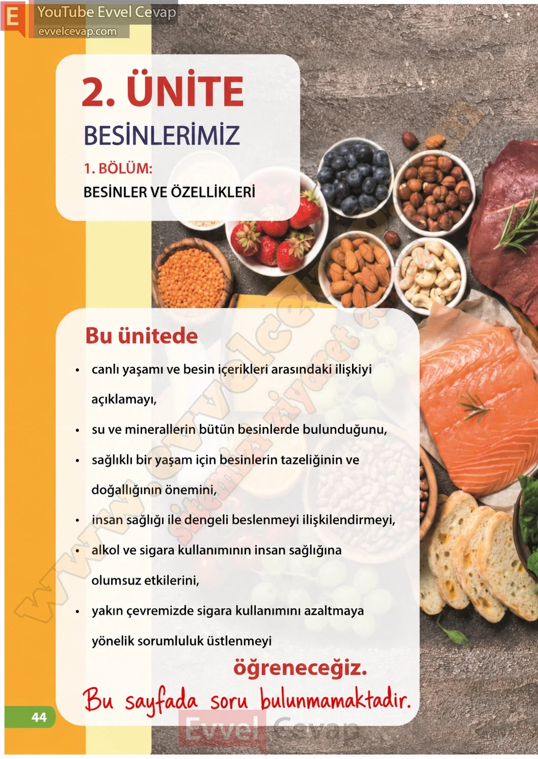 4-sinif-fen-bilimleri-ders-kitabi-sayfa-44-cevaplari-meb-yayinlari-2026-2027