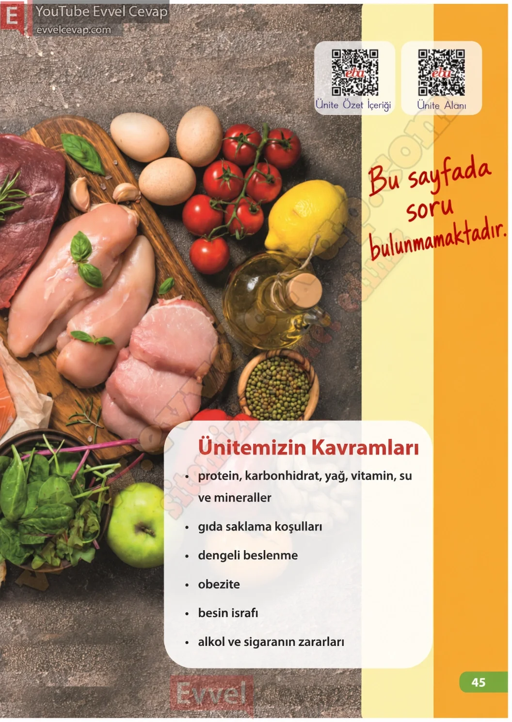 4-sinif-fen-bilimleri-ders-kitabi-sayfa-45-cevaplari-meb-yayinlari-2026-2027