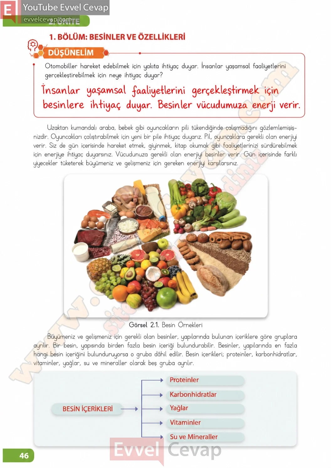 4-sinif-fen-bilimleri-ders-kitabi-sayfa-46-cevaplari-meb-yayinlari-2026-2027