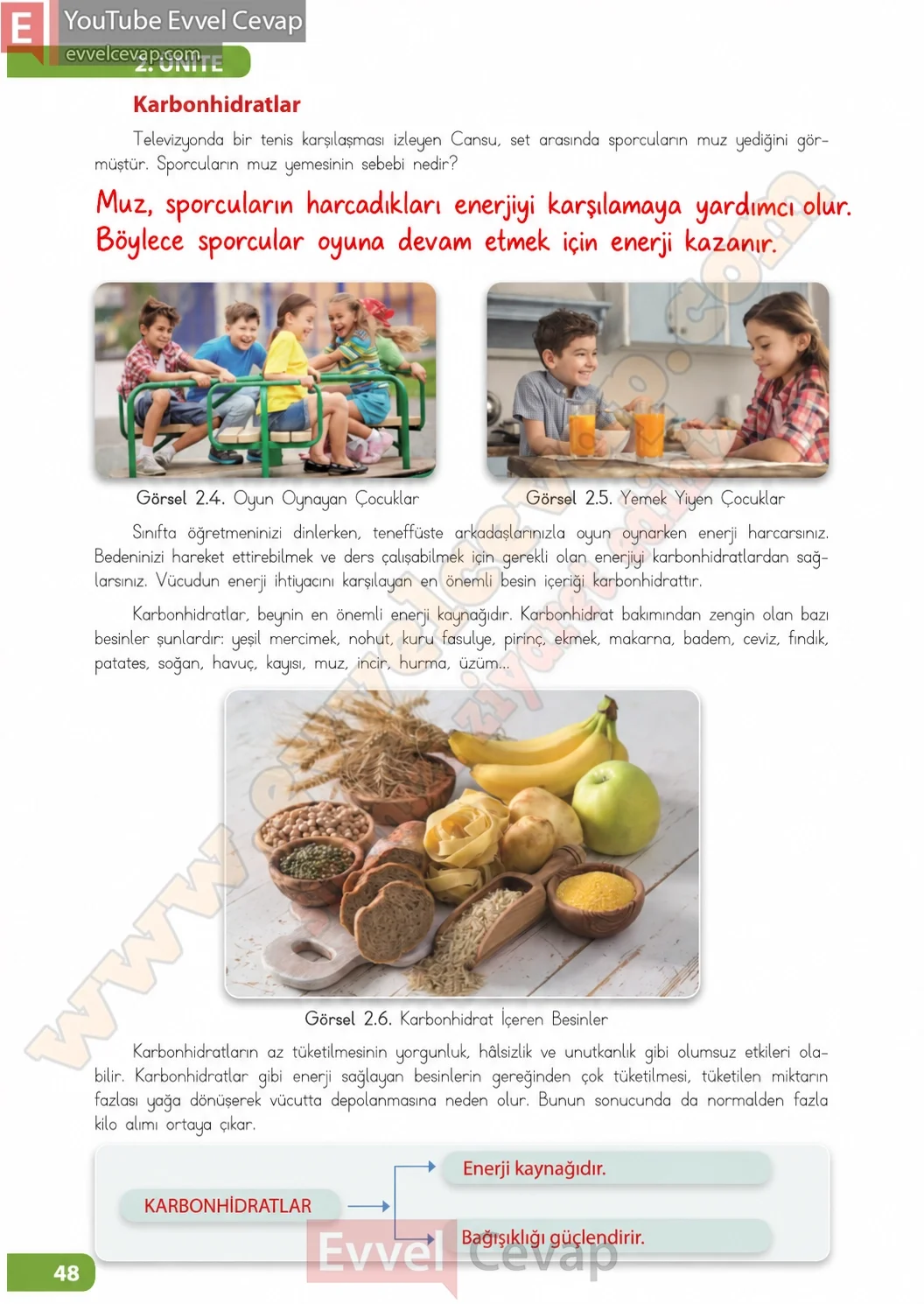 4-sinif-fen-bilimleri-ders-kitabi-sayfa-48-cevaplari-meb-yayinlari-2026-2027