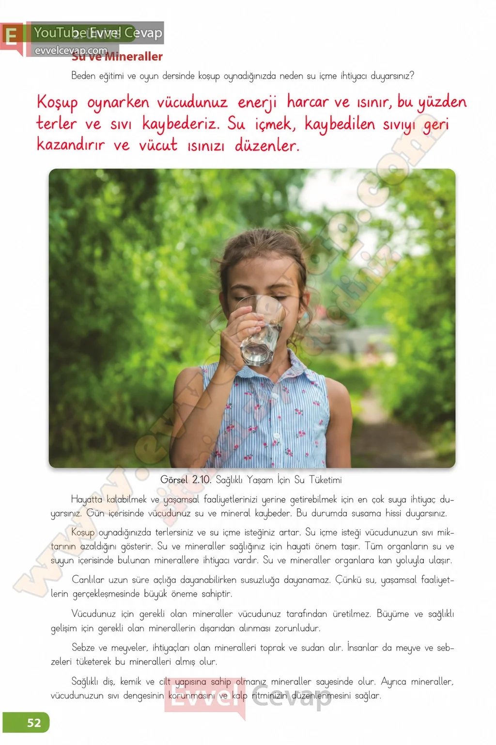 4-sinif-fen-bilimleri-ders-kitabi-sayfa-52-cevaplari-meb-yayinlari-2026-2027