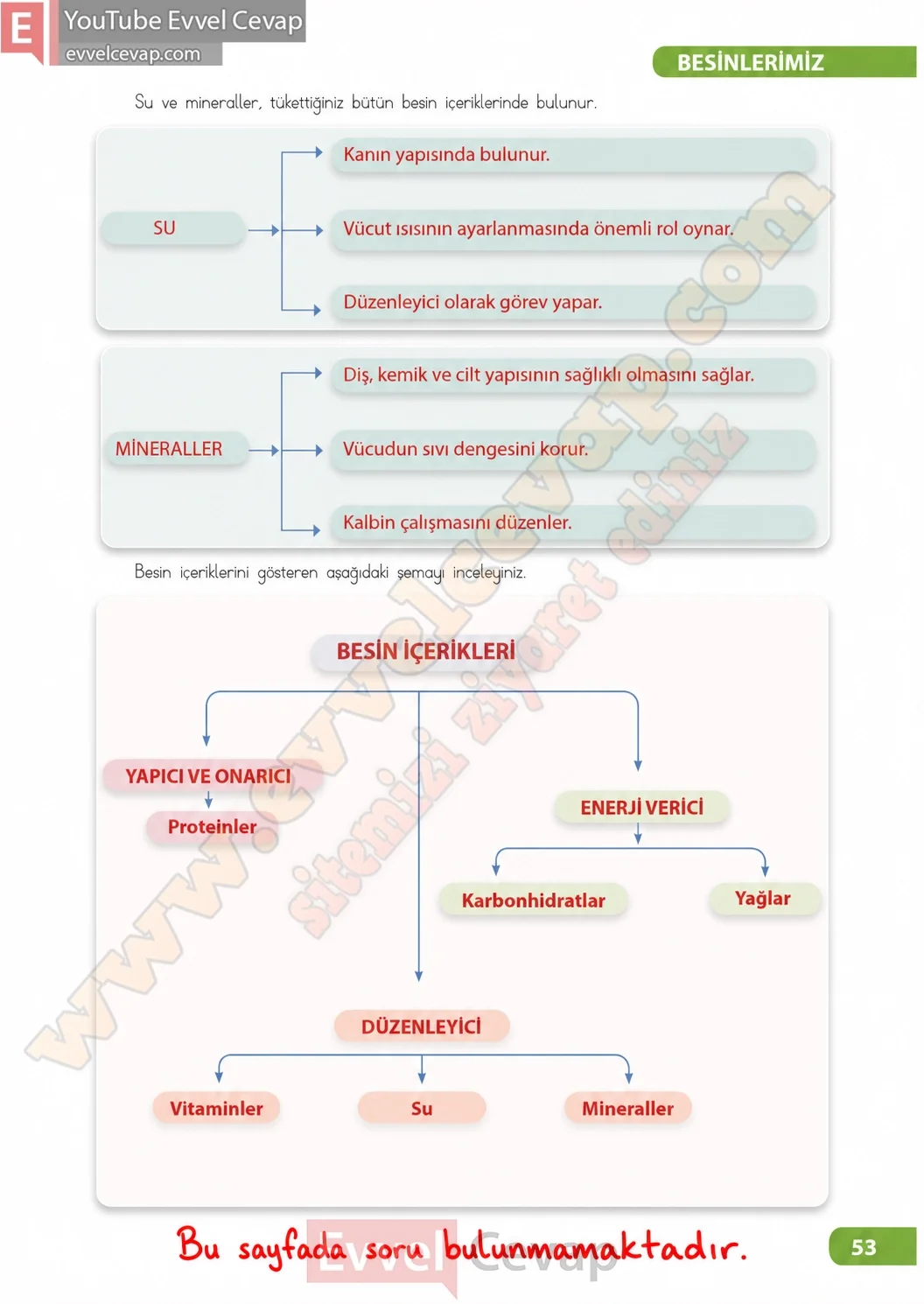 4-sinif-fen-bilimleri-ders-kitabi-sayfa-53-cevaplari-meb-yayinlari-2026-2027